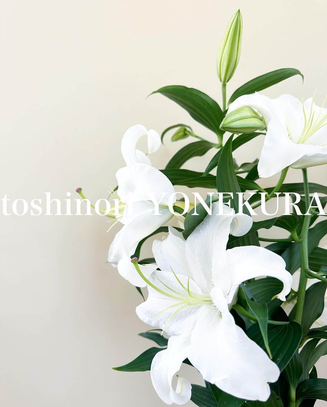 米倉利紀さんのインスタグラム写真 - (米倉利紀Instagram)「花から学ぶこと  #花のある生活 #男花」7月4日 17時16分 - toshi_yonekura