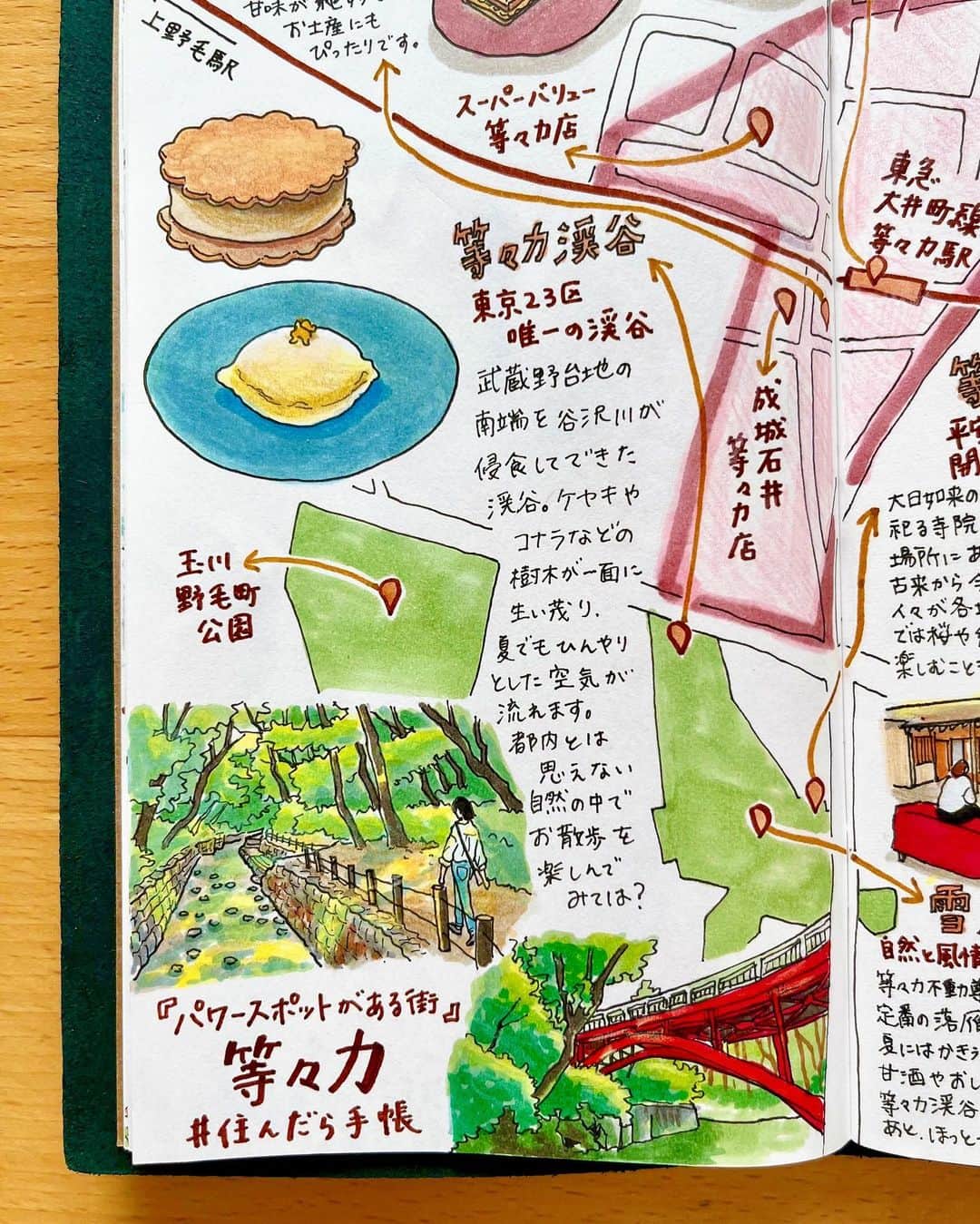 chintai_lifeさんのインスタグラム写真 - (chintai_lifeInstagram)「#住んだら手帳 第113弾は『#パワースポットがある街』 #等々力 ✨他の街はこちら👉@sundara_techo ⁡ 等々力は東京23区内でありながら、自然豊かで落ち着いた雰囲気の街。 ⁡ 駅から少し歩けば「等々力渓谷」に行くことができ、春には桜、夏には新緑など四季折々の自然を身近に感じることができます🌳 ⁡ 緑に囲まれてリフレッシュしたい、日々のお散歩を楽しみたいという人にはぴったりの街ですよ！ ⁡ ちなみに「等々力」の地名は、等々力不動尊から渓谷に下りた場所にある「不動の瀧」が「轟いた」音にちなんでつけられた、という言い伝えがあるのだそう。 ⁡ 駅を挟んで南北に広がる「等々力商店街」には、畳屋さんをリノベーションしたケーキ屋さん「Mountain Hut」や、老舗のクリーニング屋さんなどがあり、地元の人々に親しまれています🍰 ⁡ 商店街を中心に、「七夕プレゼントラリー」やプロミュージシャンによるパフォーマンスが行われる「おどろきとどろき祭り」など、季節にまつわる地域のイベントも定期的に開催されるので、要チェック🎋✨ ⁡ コンビニの数は少ないものの、駅の近くにはドラッグストアや24時まで営業しているスーパー、100円ショップなどがあるので、生活用品を買うのには困りません。 ⁡ #等々力駅 には #東急 #大井町線 が通っており、渋谷駅まで20分、新宿駅まで36分ほどと都心へのアクセスがいいのも魅力✨ ⁡ 少し距離はありますが、駅から27分ほど歩けば自由が丘駅に、29分ほど歩けば二子玉川駅に行くことができるので、お散歩がてら足をのばしてみるのもいいですね♩ ⁡ __ ⁡ そんな等々力のランドマークは、 ⁡ 東京23区唯一の渓谷 #等々力渓谷 　　 武蔵野台地の南端を谷沢川が侵食してできた渓谷。ケヤキやコナラなどの樹木が一面に生い茂り、夏でもひんやりとした空気が流れます。都内とは思えない自然の中でお散歩を楽しんでみては？ ⁡ 🚃東急 大井町線/等々力駅より徒歩3分 __ ⁡ 👇等々力のおすすめスポットはこちら✨ ⁡ 平安時代末期に開かれた等々力のお不動様 #等々力不動尊 明王院 ⁡ 大日如来の化身ともいわれる不動明王を祀る寺院。不動尊から渓谷に下りた場所にある「不動の瀧」には、古来から今日まで瀧に打たれ行をする人々が各地から訪れるのだそう。境内では桜や紅葉など四季折々の植物を楽しむこともできますよ。 ⁡ 🚃東急 大井町線/等々力駅より徒歩8分 ⁡ 自然と風情の中で、旬を楽しむ憩いの場 #雪月花 🍵 ⁡ 素材の味を大切にした、手作り料理やデザートがいただけるカフェ。月替わりのランチプレートは、地元・田無をはじめ長野県、茨城県の食材を使った人気メニュー。コーヒーは豆本来の味わいを引き出すため、焙煎前後に2度のハンドピックを行っているのだそう。こだわりの味をぜひ、味わってみてください。 ⁡ 🚃東急 大井町線/等々力駅より徒歩7分 ⁡ 季節のフルーツを使ったケーキが魅力の洋菓子店 Mountain Hut 🍰 　　 旬のフルーツをふんだんに使用した色とりどりのスイーツと、淹れたてのハンドドリップコーヒーがいただけるお店。おすすめは、「レモンケーキ」。レモンピールの酸味と香り、ホワイトチョコレートの甘味が絶妙でお土産にもぴったりです。 ⁡ 🚃東急 大井町線/等々力駅より徒歩3分 ⁡ 雑誌「Hanako」がプロデュースする駅ナカ売店 Hanako Stand Todoroki 📚 　　 “毎日に、ちょっとよい未来の選択を”というコンセプトを掲げており、ロスフラワーを使ったブーケや、洗剤を使わず水だけで汚れを落とせるブラシなどサステナブルなアイテムが集まります。駅のホームにあるので、電車を待つちょっとした時間や通勤・通学の途中など、日常的に立ち寄れる場所です。 ⁡ 🚃東急 大井町線/等々力駅ホーム内 __ ⁡ illustrations by おふみ(@ofumi_3) ⁡ 本企画では、あの街に「住んだら？」をテーマに手書きのイラストマップを手帳に一発書きして紹介していきます📖✨実際にMAPに登場するお店や街を訪れたら、 #住んだら手帳 をつけて写真を投稿してね📷！ ⁡ ※新型コロナウイルスの感染拡大防止のため、営業時間の変更・休業の可能性があります。お出かけの際は公式サイト等でご確認ください ⁡ #travelersnotebook #midoritravelersnotebook #トラベラーズノート #MountainHut #Hanako」7月4日 17時27分 - sundara_techo