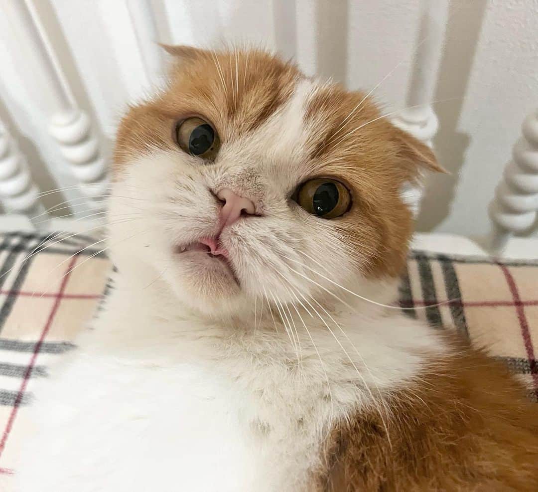 のインスタグラム：「TOM:)」