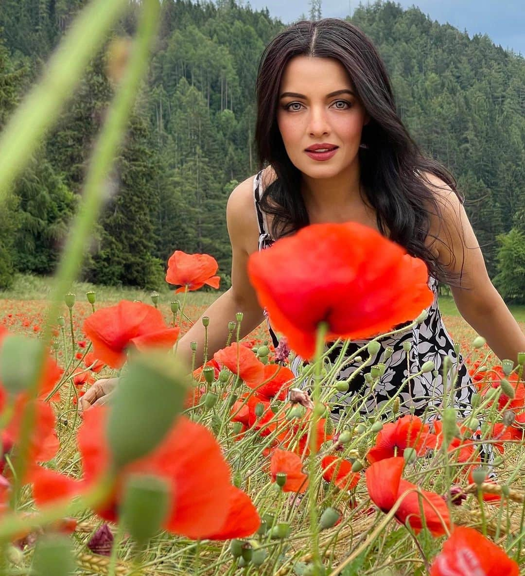 セリーナ・ジェイトリーのインスタグラム：「I spent a lifetime in this field last week… I guess it is a tragedy if a mature mind and romantic heart is in the same body !!  ~Always a hopeless romantic~ (Full of hope)   #celinajaitly #celinajaitley #celina #shayari #poetry #bollywood #flowerfields #austria #austriangirl」