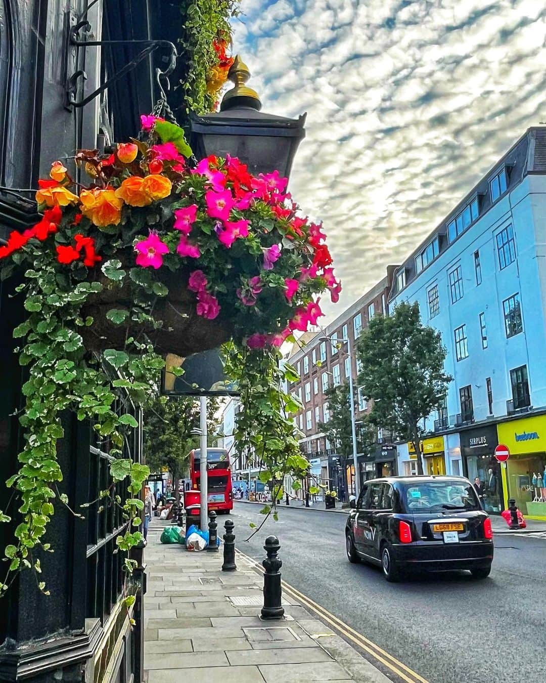 Seyda♥ Travel & Natureのインスタグラム：「Wondering in my neighbourhood 🩵🩷💚💛🌸🌺💐 #london🇬🇧 #seydauk」