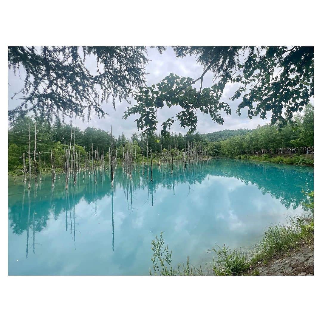 大後寿々花さんのインスタグラム写真 - (大後寿々花Instagram)「曇ってたから何色になってるのかドキドキしたけど、綺麗なブルー🥺👏  #青い池 #北海道 #美瑛」7月4日 18時24分 - suzuka_ohgo