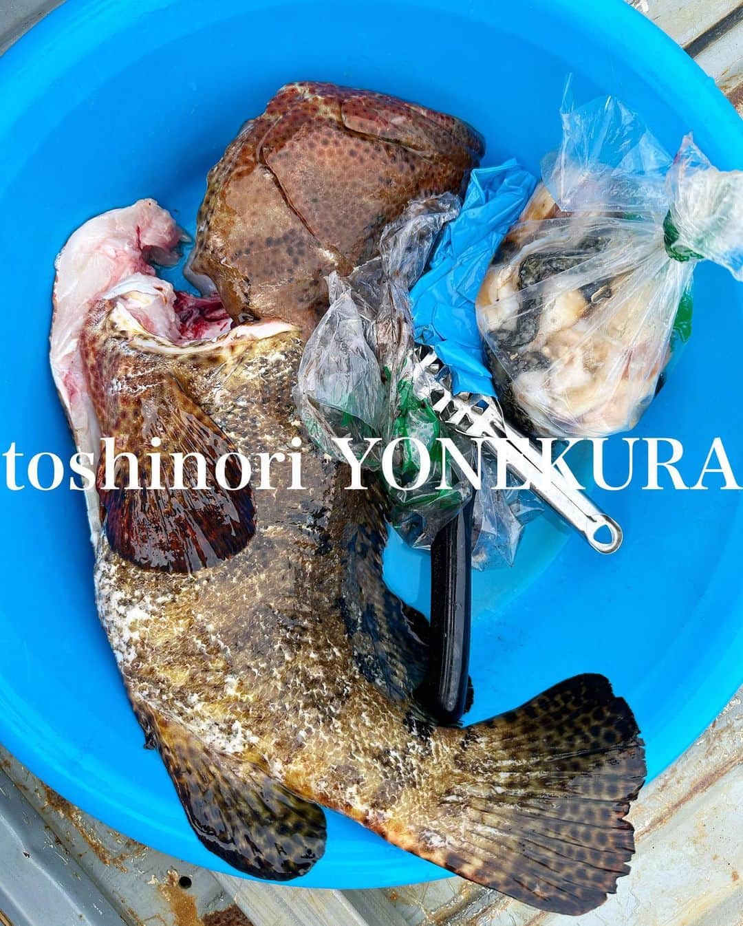 米倉利紀さんのインスタグラム写真 - (米倉利紀Instagram)「命を頂くこと  #島暮らし #海のこと #いつもいろいろ教えてくれてありがとう」7月4日 18時29分 - toshi_yonekura