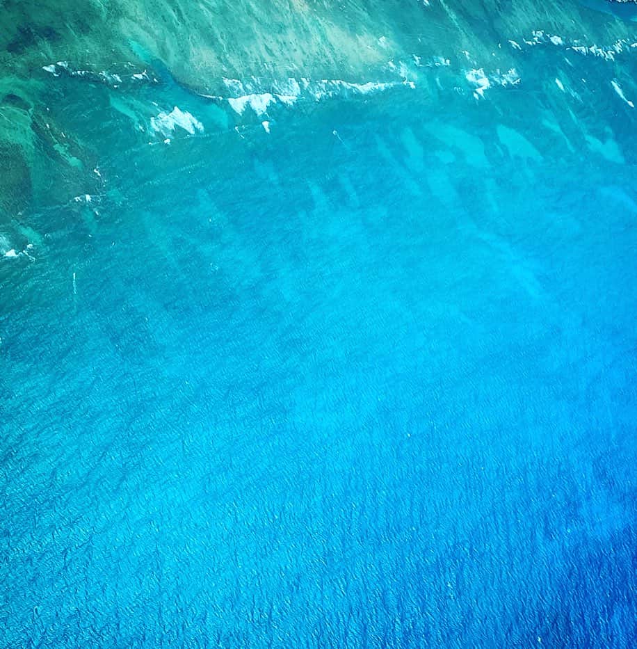 山崎美弥子さんのインスタグラム写真 - (山崎美弥子Instagram)「We are living on This blue Planet  わたしたちは、この青い惑星の上で生きている。」7月4日 18時39分 - miyakoyamazaki