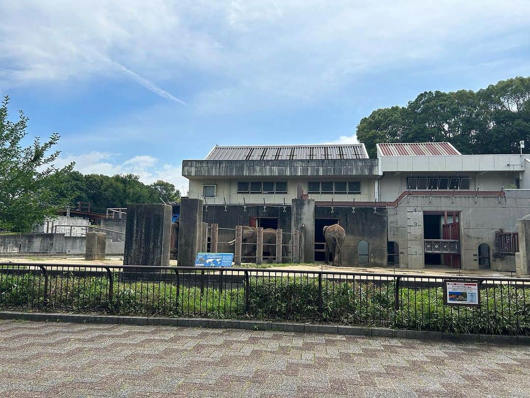 R!Nのインスタグラム：「10年ぶりぐらいに動物園にいきました🐘 かわいい動物いっぱいいて癒されたけど、個人的にはカワウソが一番可愛かった☺️笑笑」