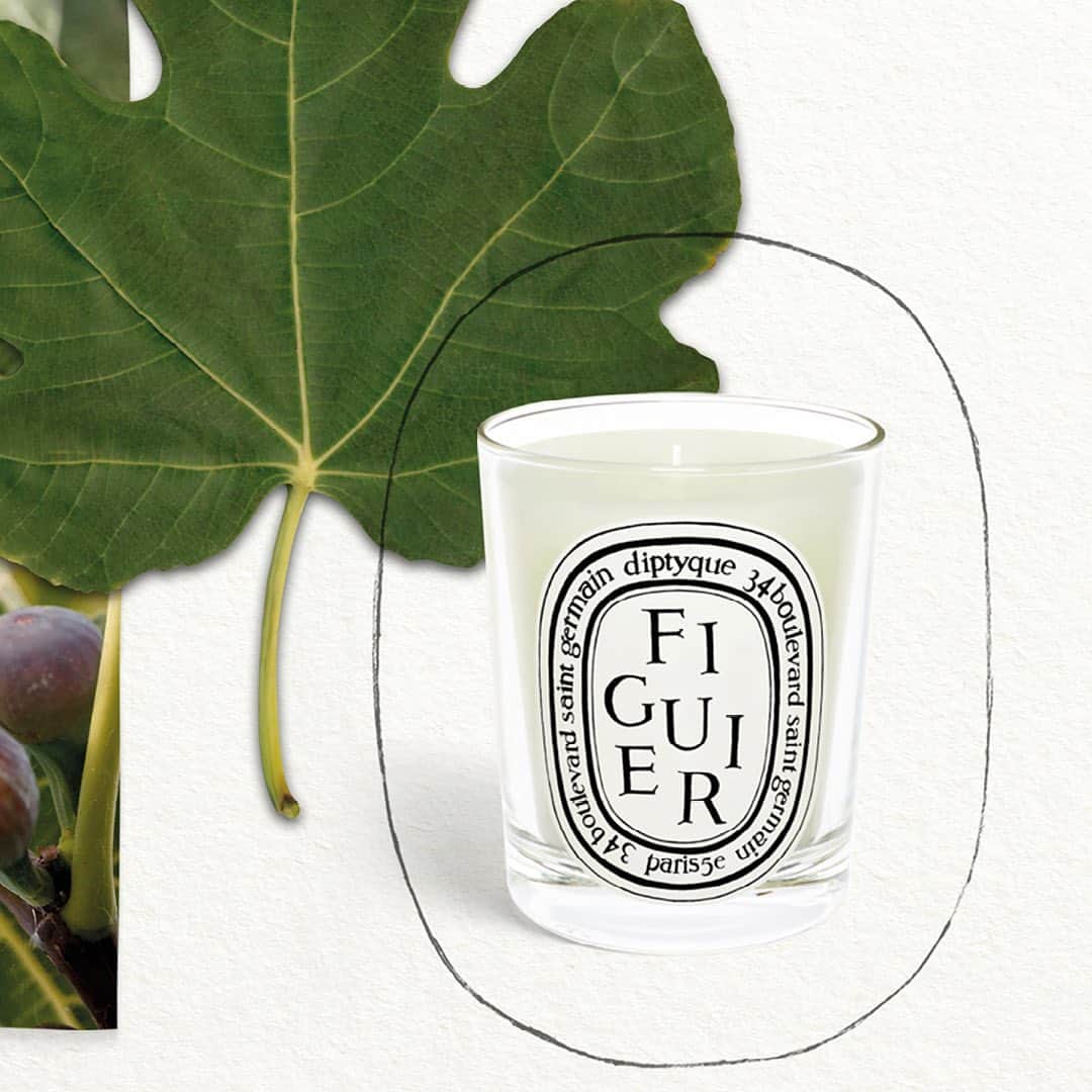 ディプティックさんのインスタグラム写真 - (ディプティックInstagram)「At the height of summer… …the scent of fig trees sweeps over the shores of the Mediterranean, their woody notes blending with the fragrance of sun-drenched figs. Note for note, Diptyque's Fig Tree candle evokes these landscapes and impressions. At once intense and unforgettable.   #Diptyque #Figuier #Figtree #Candle」7月4日 19時04分 - diptyque