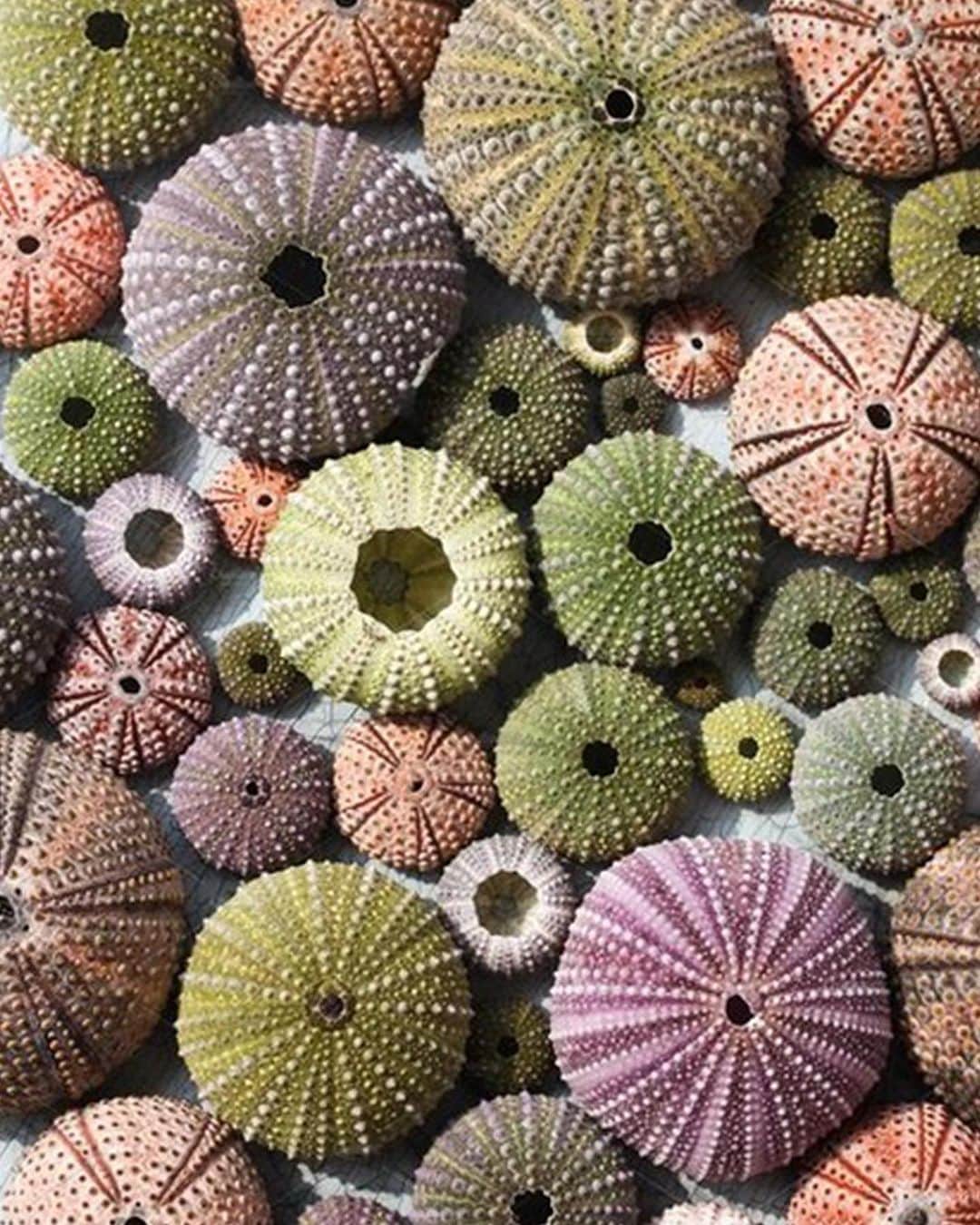 ジャマンピュエッシュのインスタグラム：「Our Rossia bag is inspired by the unique landscapes of the undersea nature, each detail is made in relief using fascinating raffia knitting techniques. #jaminpuech #fashioninspo #raffiabag #summerbag #knittedbag #strawbag」