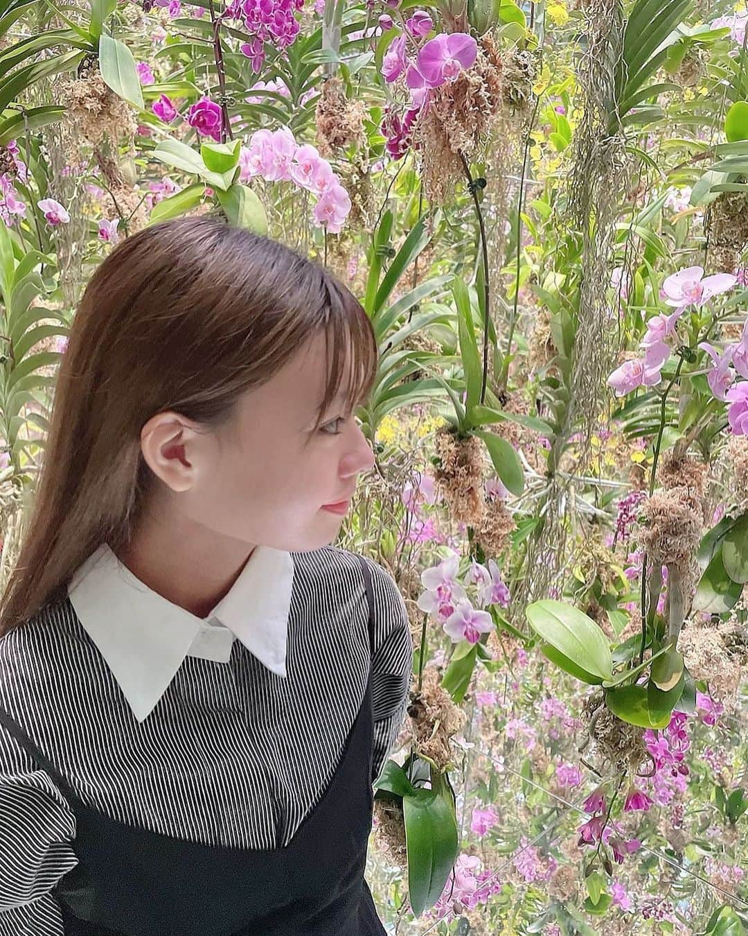 宮里莉羅さんのインスタグラム写真 - (宮里莉羅Instagram)「横顔🌷💐🤍  #チームラボ#チームラボ豊洲#映えスポット#花のある暮らし#お花好き#02년생 #follow#followme#f4f#likeforlike#follow4follow#fyp#instagood#japanesegirl#instalike#selfie#ootd」7月4日 19時38分 - ranrin0403