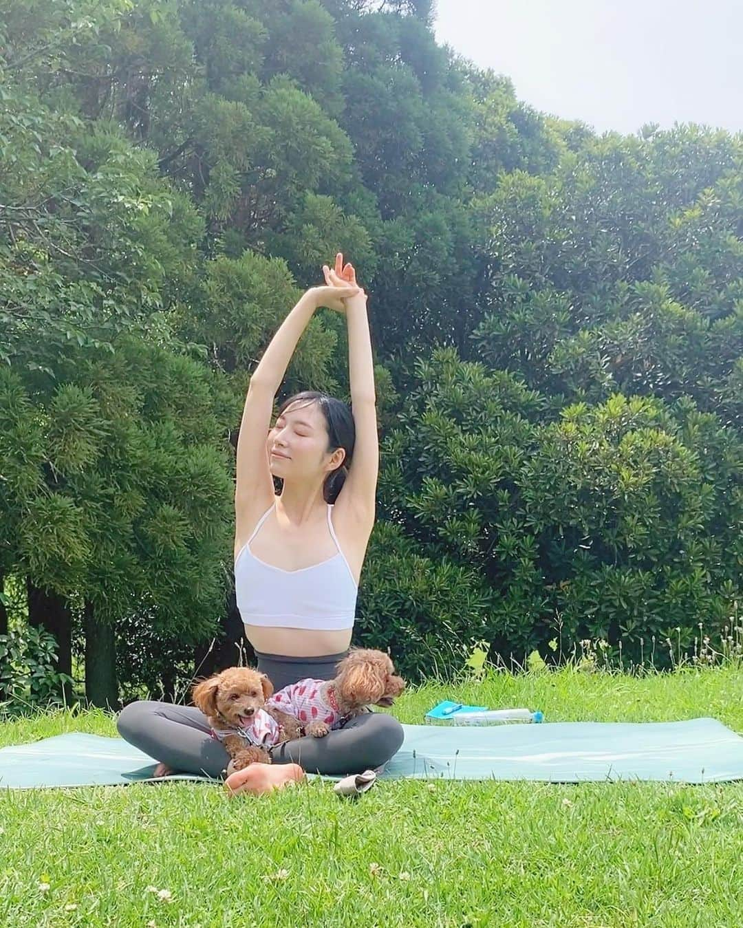 茉莉のインスタグラム：「💚☀️🌈 おすすめの休日の朝の過ごし方 . 『いつもより30分早く起きる』 . . 朝早く起きるのが苦手だった昔… 夜更かしするのも二度寝するのも日常茶飯事…💦🥱 そんな身体のリズムを変えたくて、 【早起きしてストレッチする】 これを継続的に習慣化🗓するようにしました。 何時！⏰って決めるとそれがまたストレスになるので、 できるだけ早く…っていうゆるさがポイント👈笑 . . 夏🌞は、とにかく暑いので 朝早く起きると涼しくて気持ちいいんです✨ ヨガって難しそう😗って思ったら、 まずはストレッチから始めてみたらいかがでしょうか？ 何か少しでも身体の変化に気づくはず…💕 . . #ヨガ#ヨガ女子#早寝早起き#瞑想#マインドフルネス #朝ヨガ#朝のルーティン #外ヨガ#ストレッチヨガ #ヨガジョ #犬連れ旅#女ひとり旅 #モーニングルーティン#自然と共に暮らす #わんこのいる生活 #わんこと旅行 #アウトドア女子#一人旅 #デリカ女子#yogapractice #theearlybirdgetstheworm」