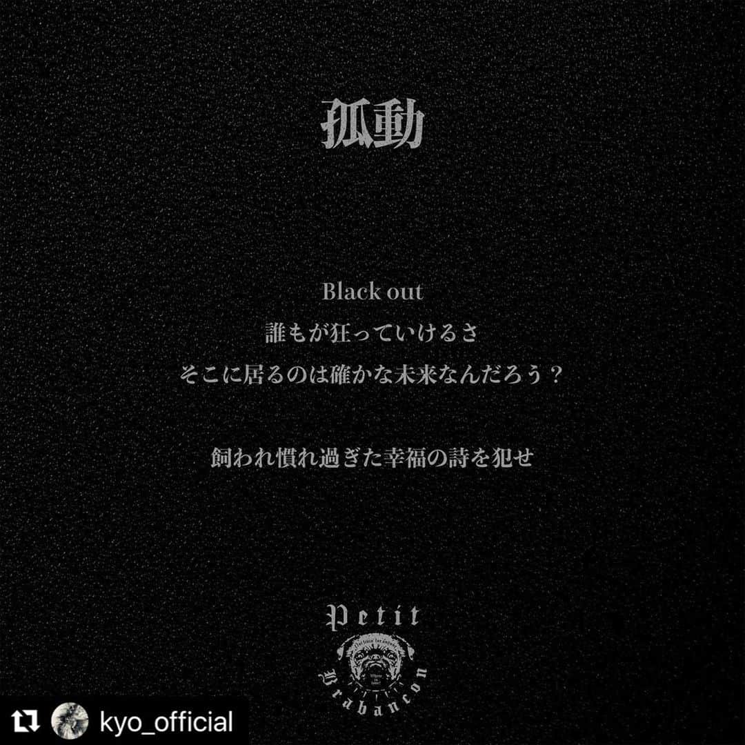 ミヤ のインスタグラム：「#Repost @kyo_official  ・・・ #PetitBrabancon #Automata #孤動」