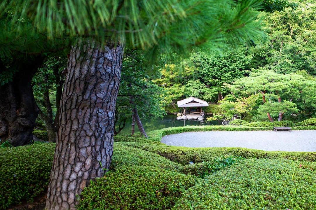 八芳園さんのインスタグラム写真 - (八芳園Instagram)「燦々とした陽光に夏を感じる７月の始まり。 日本庭園では、青空に向かって草木が生い茂ります。  旧暦の７月を表す「文月」の由来は、短冊に文字を書いて夜風にさらす七夕の風習を表す「文被月（ふみひらきづき）」が転じたという説があるそうです🎋🌌  自然溢れる庭園で、日本の夏の風情をお愉しみください。  🍃✨🍃✨🍃  #八芳園 #日本庭園 #文月 #7月 #July #夏 #港区 #白金台 #お散歩 #松  #東京観光 #東京カメラ部 #カメラ好きな人と繋がりたい #写真好きな人と繋がりたい #ファインダー越しの私の世界 #その瞬間に物語を #キリトリセカイ #写真部 #フレア  #japanesegarden #japan_daytime_view #japantravel #tokyotrip #japan_of_insta #jp_mood #tokyotokyo  #special_spot #green #happoen #初夏を楽しむフォトコンテスト2023」7月4日 20時21分 - happoen