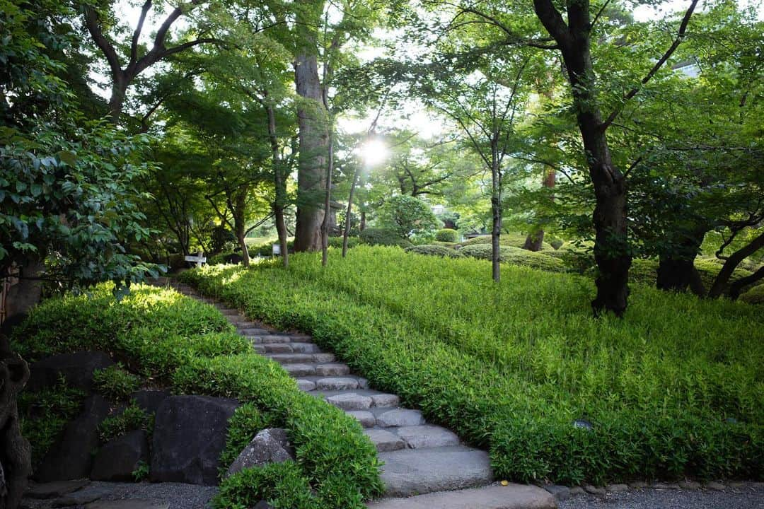 八芳園さんのインスタグラム写真 - (八芳園Instagram)「燦々とした陽光に夏を感じる７月の始まり。 日本庭園では、青空に向かって草木が生い茂ります。  旧暦の７月を表す「文月」の由来は、短冊に文字を書いて夜風にさらす七夕の風習を表す「文被月（ふみひらきづき）」が転じたという説があるそうです🎋🌌  自然溢れる庭園で、日本の夏の風情をお愉しみください。  🍃✨🍃✨🍃  #八芳園 #日本庭園 #文月 #7月 #July #夏 #港区 #白金台 #お散歩 #松  #東京観光 #東京カメラ部 #カメラ好きな人と繋がりたい #写真好きな人と繋がりたい #ファインダー越しの私の世界 #その瞬間に物語を #キリトリセカイ #写真部 #フレア  #japanesegarden #japan_daytime_view #japantravel #tokyotrip #japan_of_insta #jp_mood #tokyotokyo  #special_spot #green #happoen #初夏を楽しむフォトコンテスト2023」7月4日 20時21分 - happoen