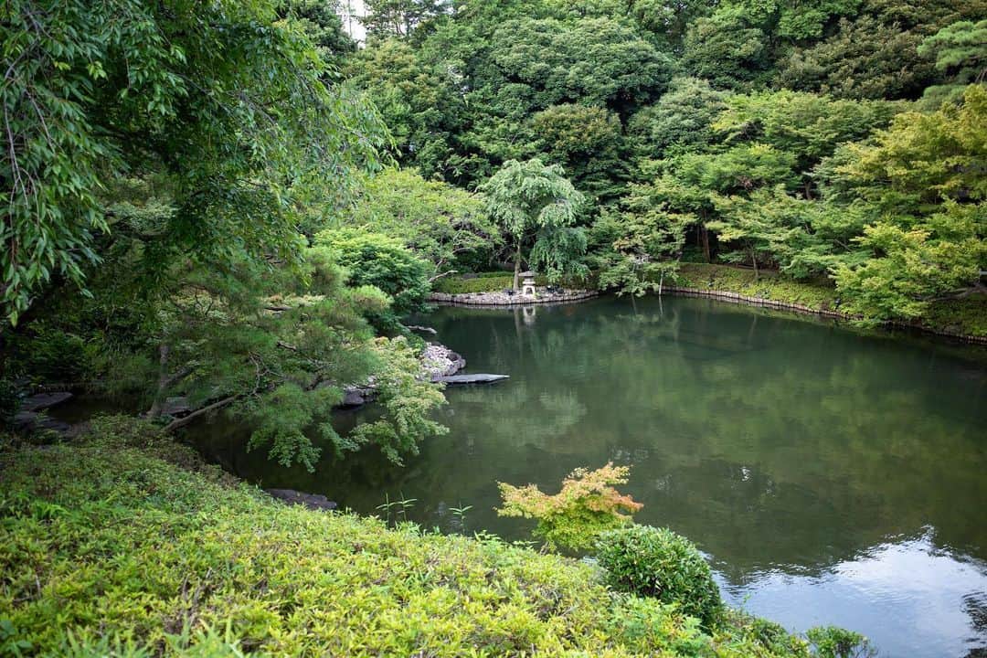 八芳園さんのインスタグラム写真 - (八芳園Instagram)「燦々とした陽光に夏を感じる７月の始まり。 日本庭園では、青空に向かって草木が生い茂ります。  旧暦の７月を表す「文月」の由来は、短冊に文字を書いて夜風にさらす七夕の風習を表す「文被月（ふみひらきづき）」が転じたという説があるそうです🎋🌌  自然溢れる庭園で、日本の夏の風情をお愉しみください。  🍃✨🍃✨🍃  #八芳園 #日本庭園 #文月 #7月 #July #夏 #港区 #白金台 #お散歩 #松  #東京観光 #東京カメラ部 #カメラ好きな人と繋がりたい #写真好きな人と繋がりたい #ファインダー越しの私の世界 #その瞬間に物語を #キリトリセカイ #写真部 #フレア  #japanesegarden #japan_daytime_view #japantravel #tokyotrip #japan_of_insta #jp_mood #tokyotokyo  #special_spot #green #happoen #初夏を楽しむフォトコンテスト2023」7月4日 20時21分 - happoen