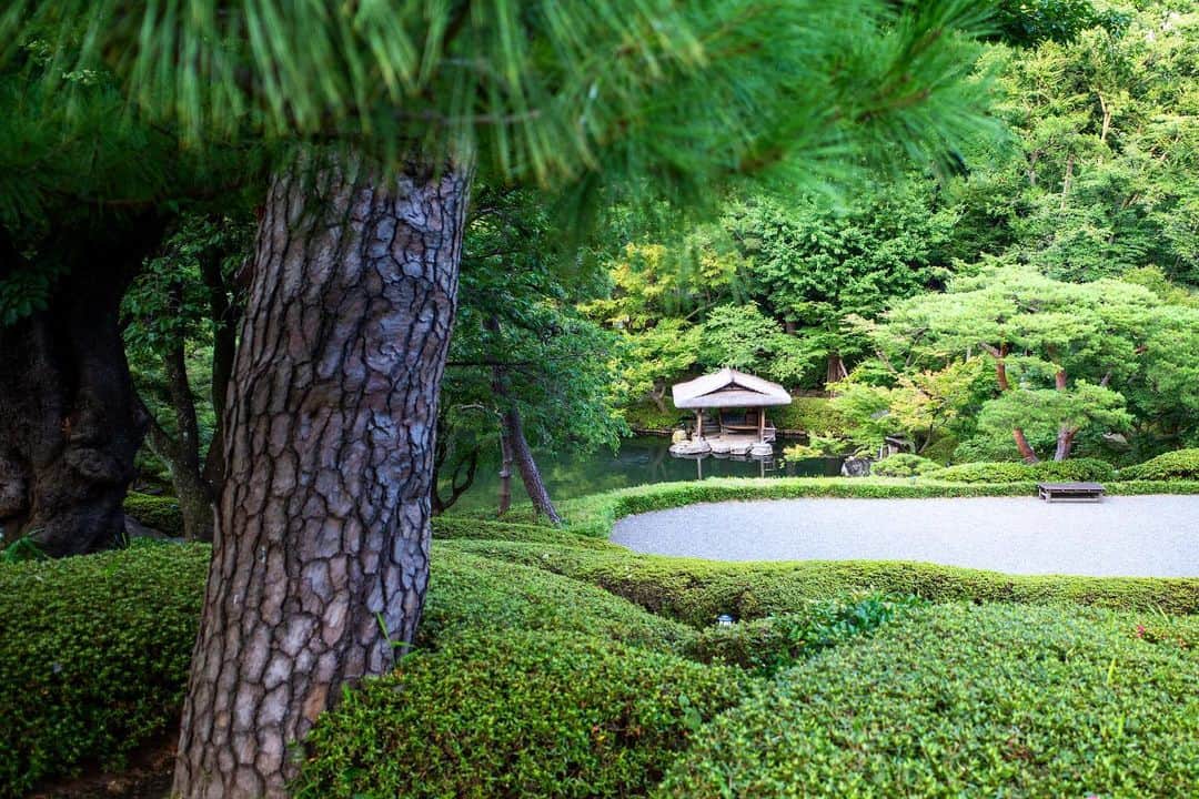 八芳園のインスタグラム：「燦々とした陽光に夏を感じる７月の始まり。 日本庭園では、青空に向かって草木が生い茂ります。  旧暦の７月を表す「文月」の由来は、短冊に文字を書いて夜風にさらす七夕の風習を表す「文被月（ふみひらきづき）」が転じたという説があるそうです🎋🌌  自然溢れる庭園で、日本の夏の風情をお愉しみください。  🍃✨🍃✨🍃  #八芳園 #日本庭園 #文月 #7月 #July #夏 #港区 #白金台 #お散歩 #松  #東京観光 #東京カメラ部 #カメラ好きな人と繋がりたい #写真好きな人と繋がりたい #ファインダー越しの私の世界 #その瞬間に物語を #キリトリセカイ #写真部 #フレア  #japanesegarden #japan_daytime_view #japantravel #tokyotrip #japan_of_insta #jp_mood #tokyotokyo  #special_spot #green #happoen #初夏を楽しむフォトコンテスト2023」