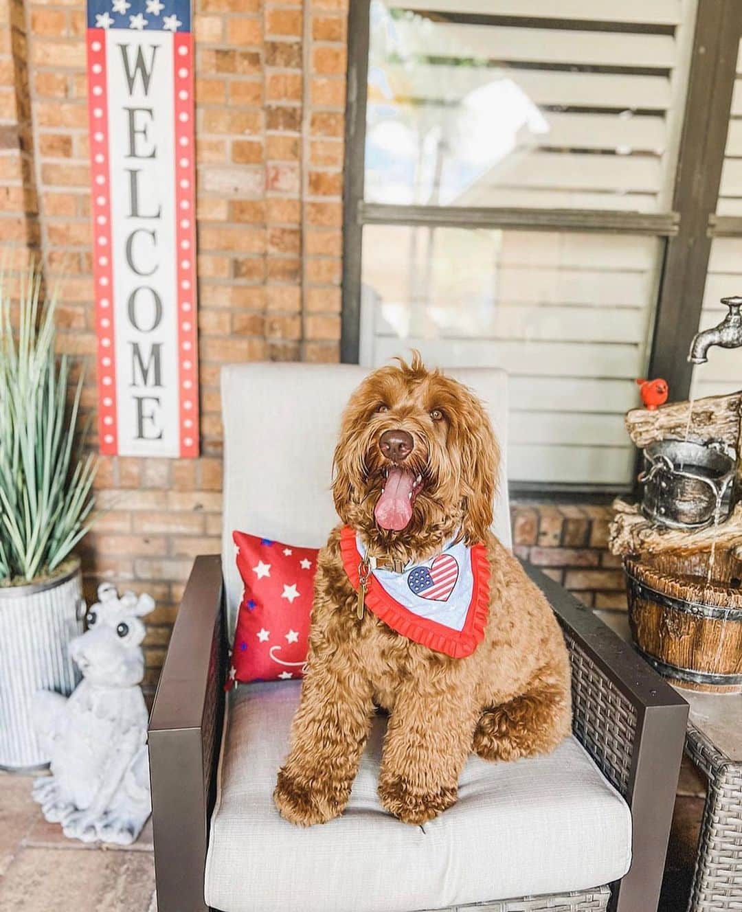 HomeGoodsのインスタグラム：「Hope everyone has a paw-some 4th of July! ❤️🤍💙   (📸: @mini.maybelle, @dunkinthefrenchie, @__piperthepup)」