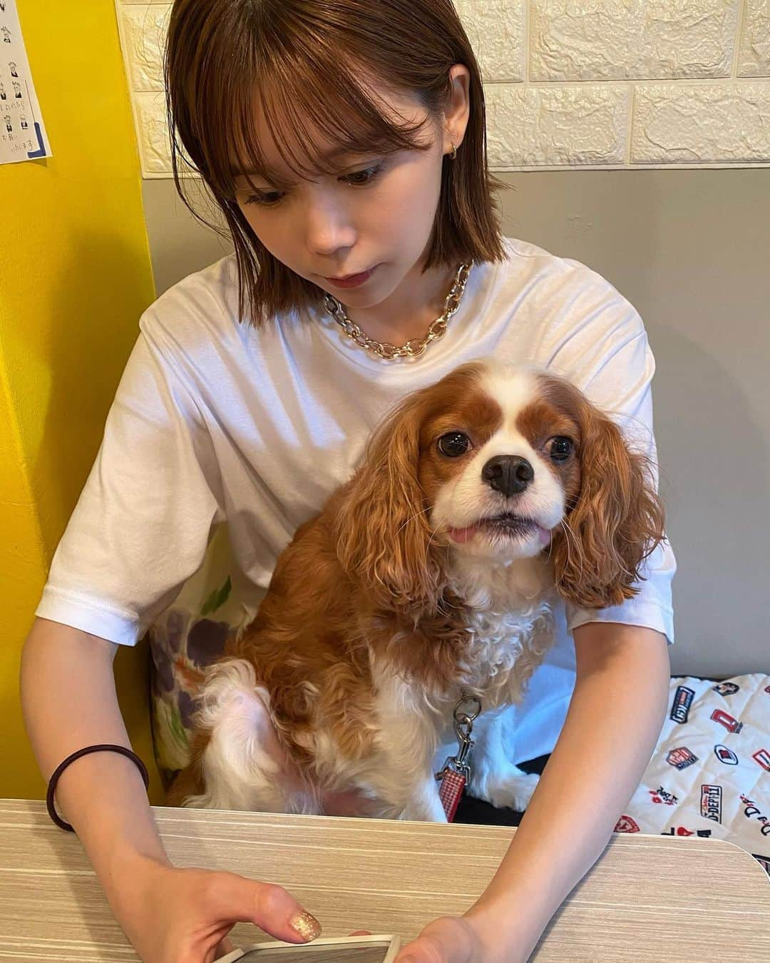 千田麻実さんのインスタグラム写真 - (千田麻実Instagram)「⠀ レオちゃんと戯れ日🐶 顔べちょべちょに舐められました👅 ランチ中はおりこうさんでした🍙  夜はサウナ行って整い◎  #キャバリア  #顎のせれお」7月4日 22時21分 - mami__senda