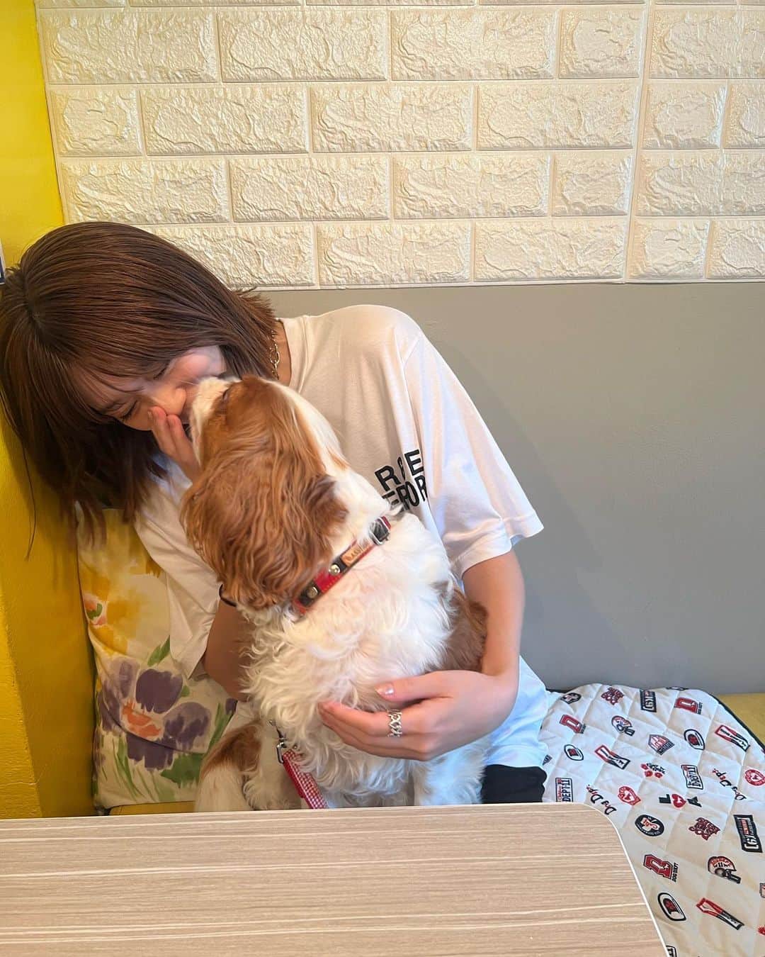 千田麻実のインスタグラム：「⠀ レオちゃんと戯れ日🐶 顔べちょべちょに舐められました👅 ランチ中はおりこうさんでした🍙  夜はサウナ行って整い◎  #キャバリア  #顎のせれお」