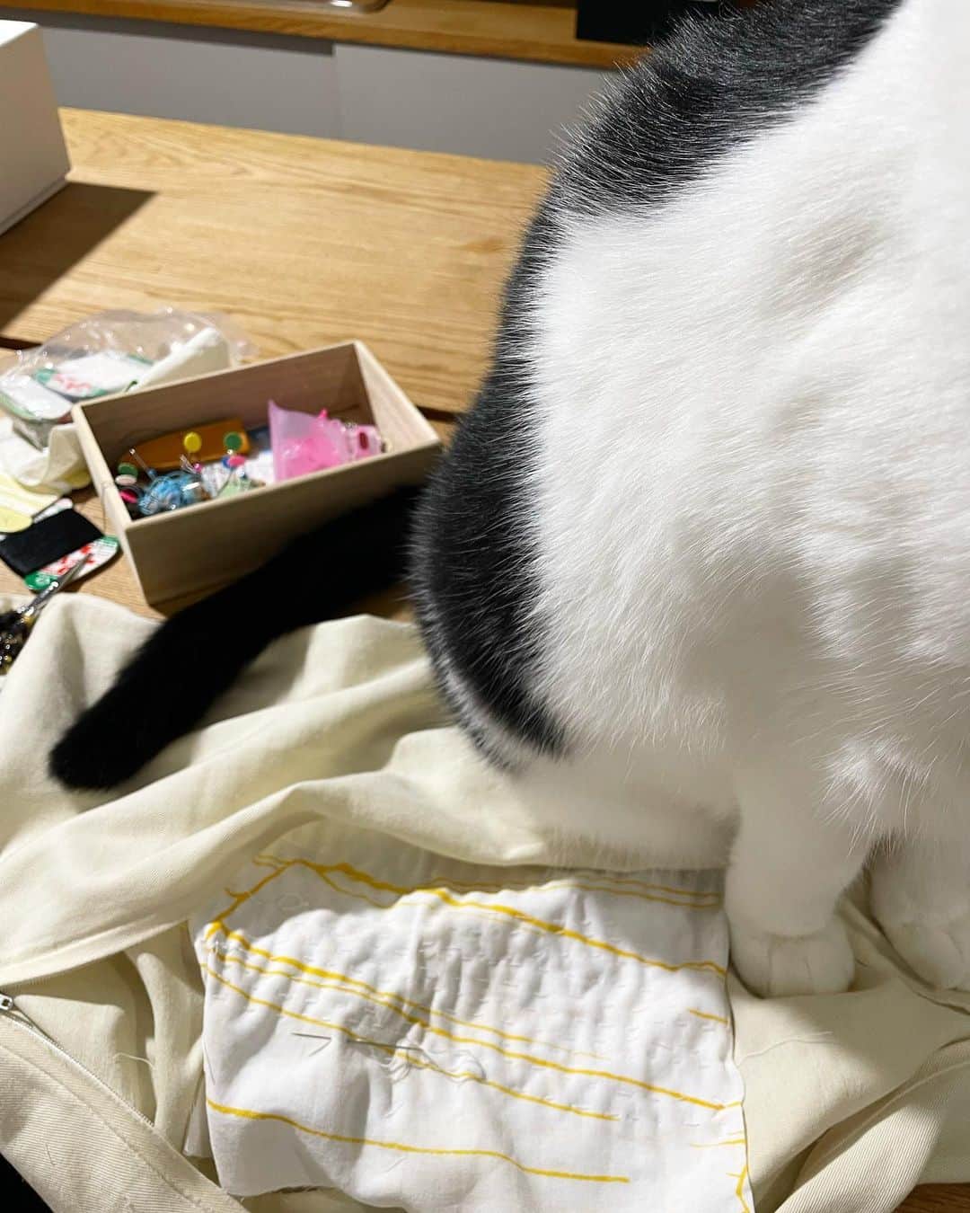 山本浩未のインスタグラム