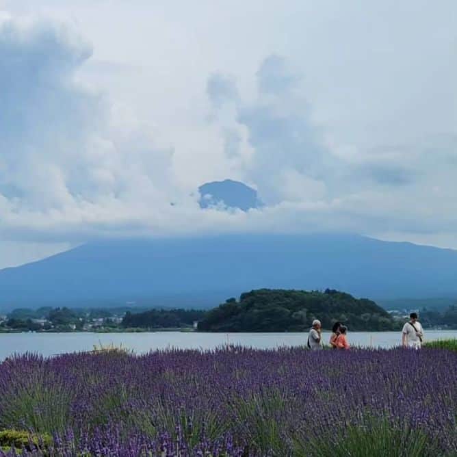 綾小路きみまろさんのインスタグラム写真 - (綾小路きみまろInstagram)「綾小路きみまろです。 #河口湖 #富士山 #大石公園 #ラベンダー畑 良い季節です。  ぜひこの夏🏄️☀️🍧 河口湖に遊びにいらして下さいね！」7月4日 22時46分 - ayanokojikimimaro_official