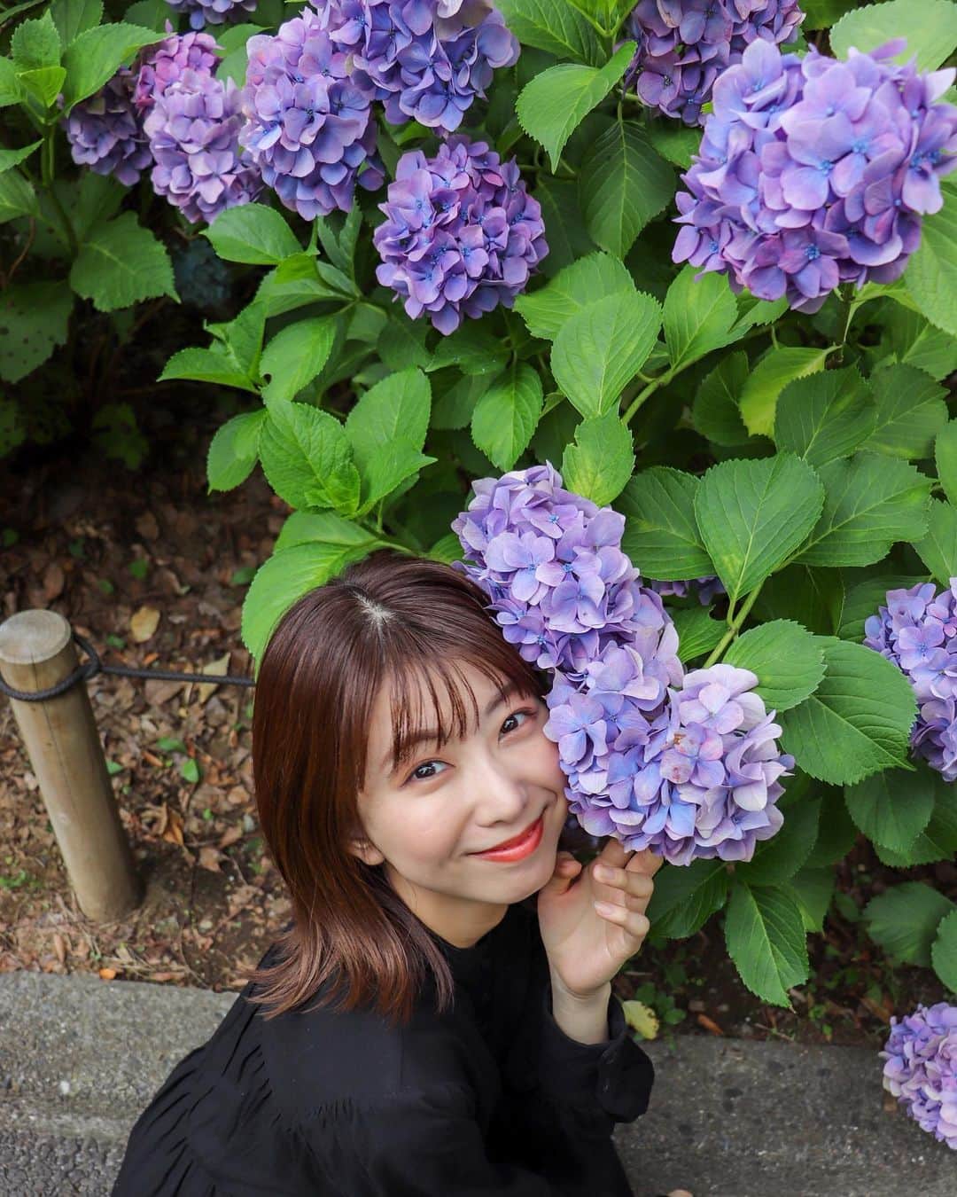 中島愛蘭さんのインスタグラム写真 - (中島愛蘭Instagram)「綺麗な紫陽花と撮れた📸💜 Photo @ukita_eriko」7月6日 21時00分 - aira_nakajima