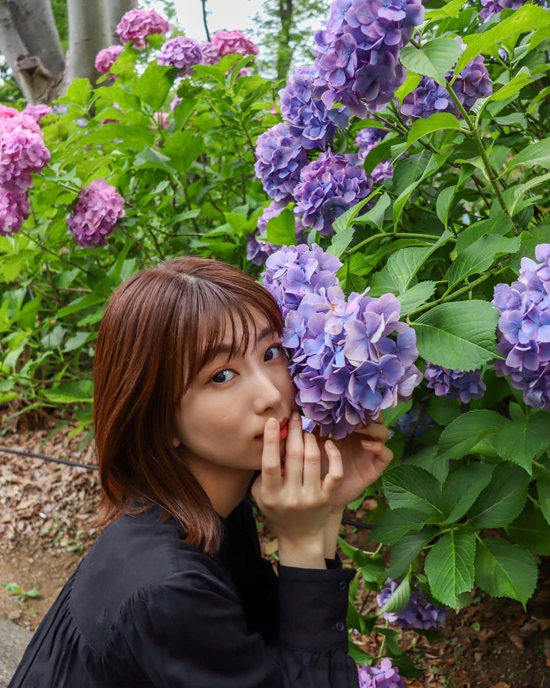 中島愛蘭さんのインスタグラム写真 - (中島愛蘭Instagram)「綺麗な紫陽花と撮れた📸💜 Photo @ukita_eriko」7月6日 21時00分 - aira_nakajima