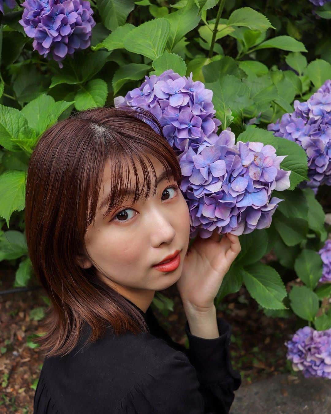 中島愛蘭さんのインスタグラム写真 - (中島愛蘭Instagram)「綺麗な紫陽花と撮れた📸💜 Photo @ukita_eriko」7月6日 21時00分 - aira_nakajima