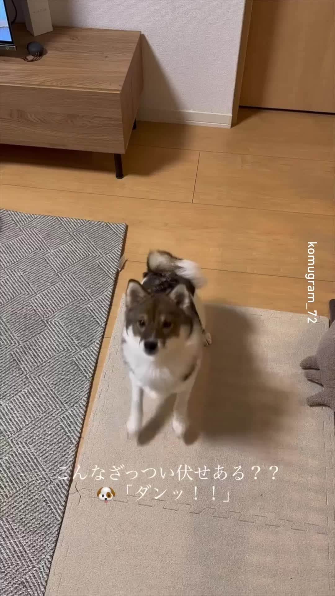 9GAGのインスタグラム