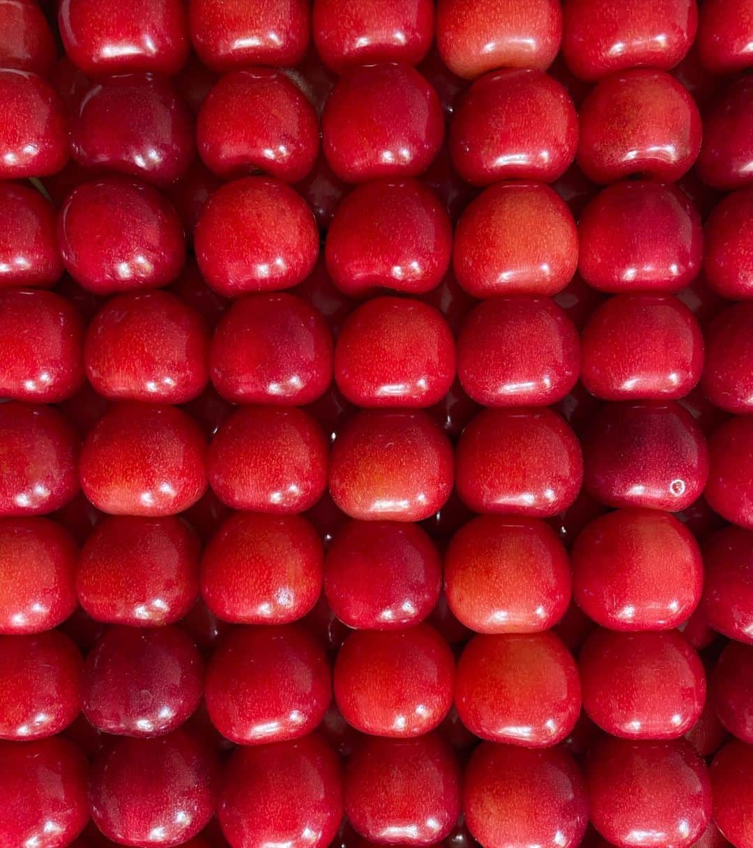 山本浩未さんのインスタグラム写真 - (山本浩未Instagram)「夏の赤♥️ 美味しい赤♥️ 美しい赤♥️ うれしい赤♥️  　  #osmicトマト 🍅 #山形さくらんぼ 🍒 #ジャズりんご 🍎　 #台湾マンゴー 🥭」7月5日 8時48分 - hiromicoy