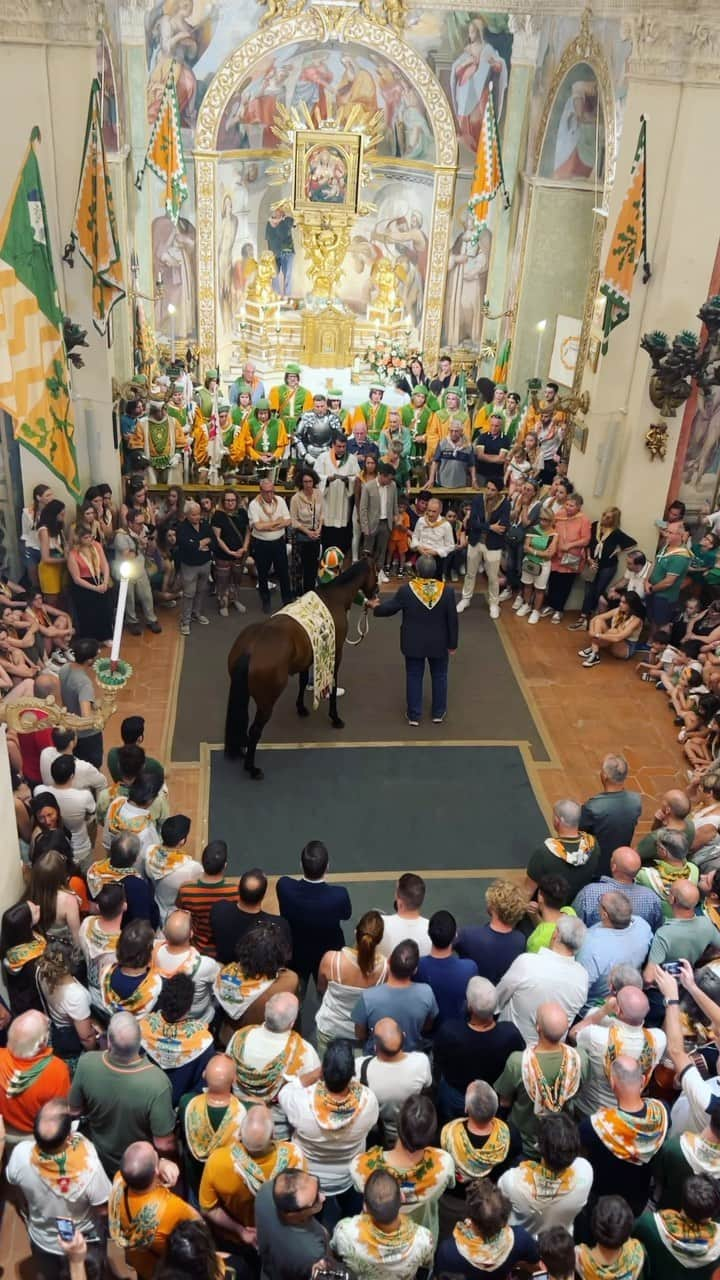 マイケル・ミュラーのインスタグラム：「Sienna 07-02-23 the blessing of this Horsse who I was so beyond Lucky to have access to  capture this footage right before this horse went out and SMASHED the competition in the 2023 Palio.」