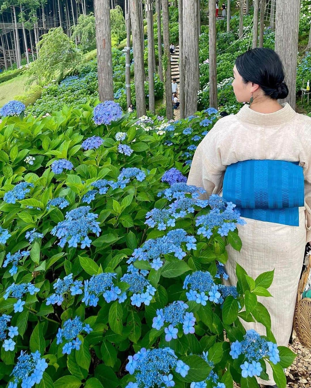 三島スカイウォーク／公式さんのインスタグラム写真 - (三島スカイウォーク／公式Instagram)「みんなの「あじさいベストショット」キャンペーン📸第5弾！  7月に入り暑くなってきましたね☀️ 標高が高く比較的涼しい三島スカイウォークではまだまだ綺麗に咲くあじさいを楽しめます♪🌈  お客様のたくさんの投稿の中から今回ご紹介するお写真はこちら👇  ★1枚目 @tezuka.koji  さんの投稿 投稿日 2023/07/03 ★2枚目 @fleurs_en_reve7 さんの投稿 撮影日2023/06/24 ★3枚目 @mkk_pi さんの投稿 投稿日 2023/07/01 ★4枚目 @liran_elin さんの投稿 投稿日 2023/07/01  ぜひ散策しながらお気に入りのあじさいを見つけてみてください🚶🌱  今回ご紹介した写真以外にもたくさんの投稿をありがとうございます🥰  皆さんもぜひ#スカイウォークのあじさい で検索してみてください🔍🙌  ＼#あじさい祭 開催中🙌／  【期間】6月10日(土)〜7月14日(金)  【テーマ】みんなのあじさいベストショット  【参加条件】  ①三島スカイウォークのインスタグラムアカウントをフォロー。  ②「#あじさい」、「#スカイウォークのあじさい」 の2つハッシュタグをつけて、自慢のあじさいフォトを投稿。  ⚠️SNSやHP、広告等で使用することをご了承の上、投稿をお願いいたします。  【画像使用の場合】 紹介前に一度DMにてご連絡いたします。 ご返答がない場合でも、SNSやHP、広告等で使用することをご了承の上ご参加いただいていることとみなし、画像を使用させていただきます。  【注意事項】 ※三島スカイウォークで撮影したあじさいに関する写真をご投稿ください。  ※インスタグラムアカウントが非公開の場合は、公開のアカウントにてご参加ください。  ※フォローの解除、アカウント名を変更するとダイレクトメッセージでのご連絡がとれない状況になりますので、期間中は変更しないようお願いいたします。  ※ドローンやラジコンヘリなどでの撮影はご遠慮ください。  ※画像を使用させていただく場合ユーザー名を非公開にしたい方はお知らせください。  #あじさい#スカイウォークのあじさい#三島スカイウォーク#スカイウォーク#静岡#伊豆#三島#箱根#観光#吊橋#日本一#富士山 #mishimaskywalk #mtfuji #skywalk #hydrangea#hakone#japantrip#shizuoka」7月5日 9時54分 - mishima_skywalk