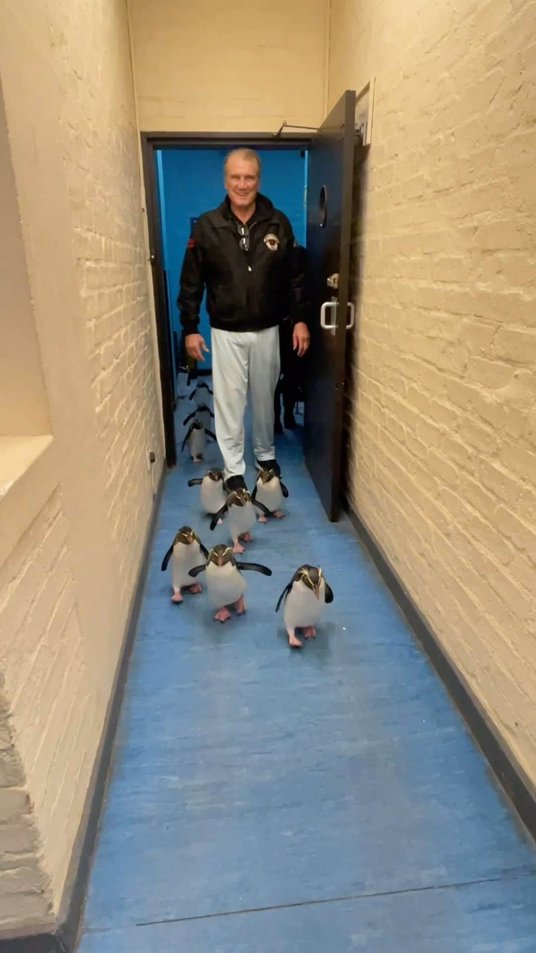 ドルフ・ラングレンのインスタグラム：「Taking some African penguins for a stroll to the beach. 🇿🇦 Bring it, Happy Feet!!」