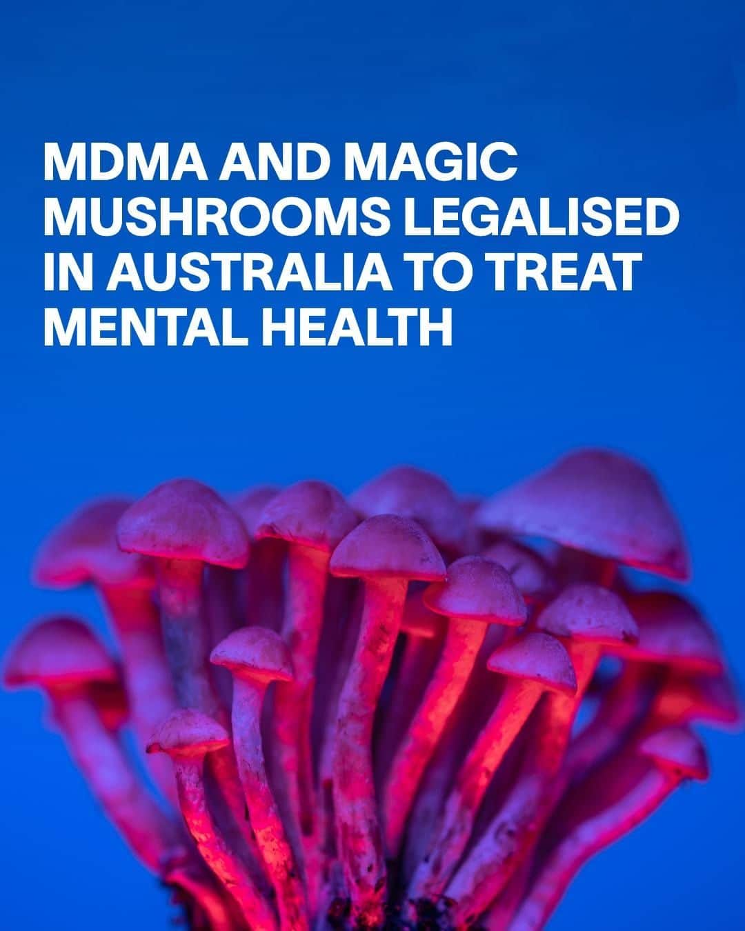 VICEさんのインスタグラム写真 - (VICEInstagram)「Australia has become the first country to legalise medical psychedelics. ⁠ ⁠ On the 1st of July, MDMA and psilocybin – the psychoactive compound in magic mushrooms – were added to the list of approved medicines by Australia’s version of the FDA, the Therapeutic Goods Administration. ⁠ ⁠ While the move has been celebrated by both campaigners and fans of psychedelics, it’s not a free-for-all: the drugs can only be prescribed by authorised psychiatrists, who can recommend psilocybin to treat depression that has proven resistant to other other treatments, and MDMA to assist in the treatment of PTSD. Plus, the treatment isn’t cheap: the drugs will cost around 10,000 Australian dollars (roughly $6,700) per patient. ⁠ ⁠ While there is growing cultural acceptance of psychedelics – with both Oregon and Colorado legalising the adult use of psilocybin in recent years – medical experts say more research is needed on the drug's efficacy, and The American Psychiatric Association is yet to endorse the use of psychedelics in treatment.」7月5日 1時18分 - vice