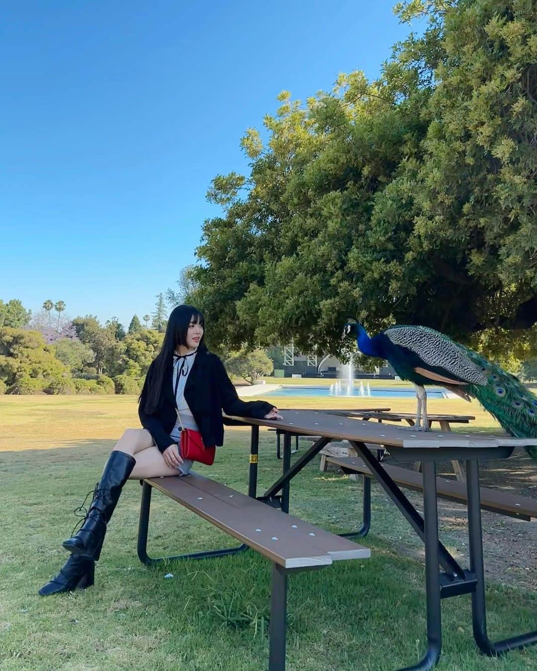 Emily Meiさんのインスタグラム写真 - (Emily MeiInstagram)「Have a great day 💜 from me, my mom & a family of cute peacocks :3」7月5日 10時11分 - emily.ghoul