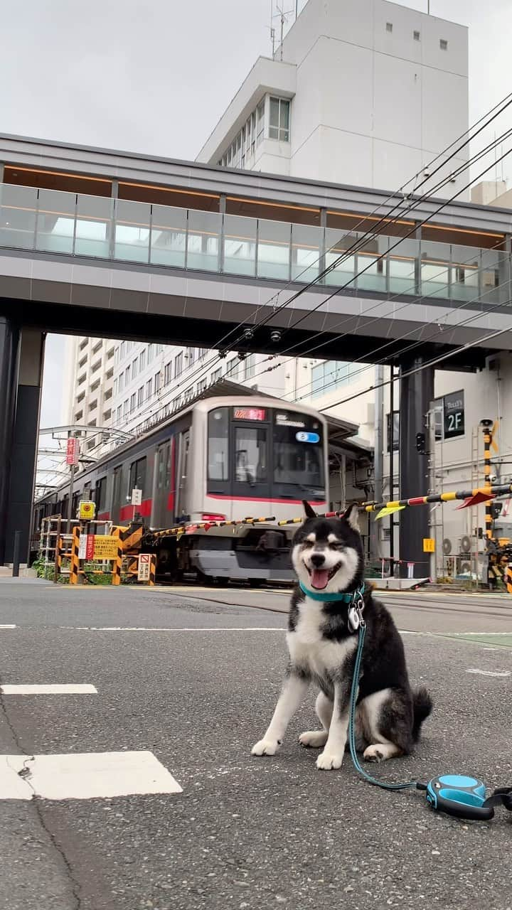 くろのインスタグラム