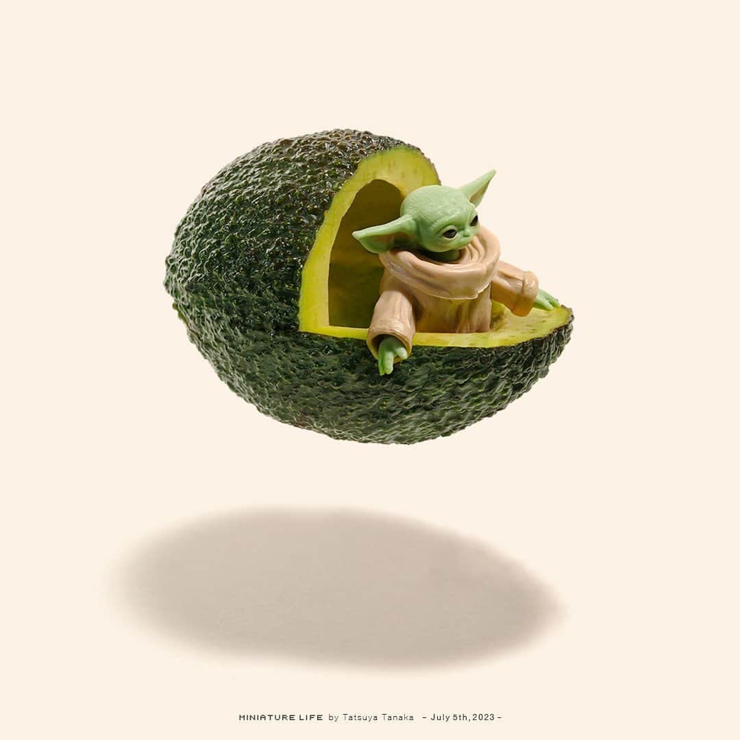 田中達也のインスタグラム：「⠀ “How to Ride an Avocado” ⠀ 「まだまだ青いな、熟しておらぬ」 ⠀ ─────────────────── 《EXHIBITION info》 ⠀ 【ミニチュアの視点で見る日本－田中 達也】展 Japan from miniatures - Tatsuya Tanaka at Japan House São Paulo until : Oct. 8, 2023 ⠀ 【ミニチュアライフ 神戸エアポート】 MINIATURE LIFE × KOBE AIRPORT ⠀ ─────────────────── 《Coming Soon》 ⠀ 【MINIATURE LIFE展2 in 沖縄】 MINIATURE LIFE EXHIBITION 2 in Okinawa Jul. 12, 2023 - Sep. 3, 2023 ⠀ 【MINIATURE LIFE展 in 福岡・大野城】 MINIATURE LIFE EXHIBITION in Fukuoka Jul. 22, 2023 - Sep. 3, 2023 ⠀」