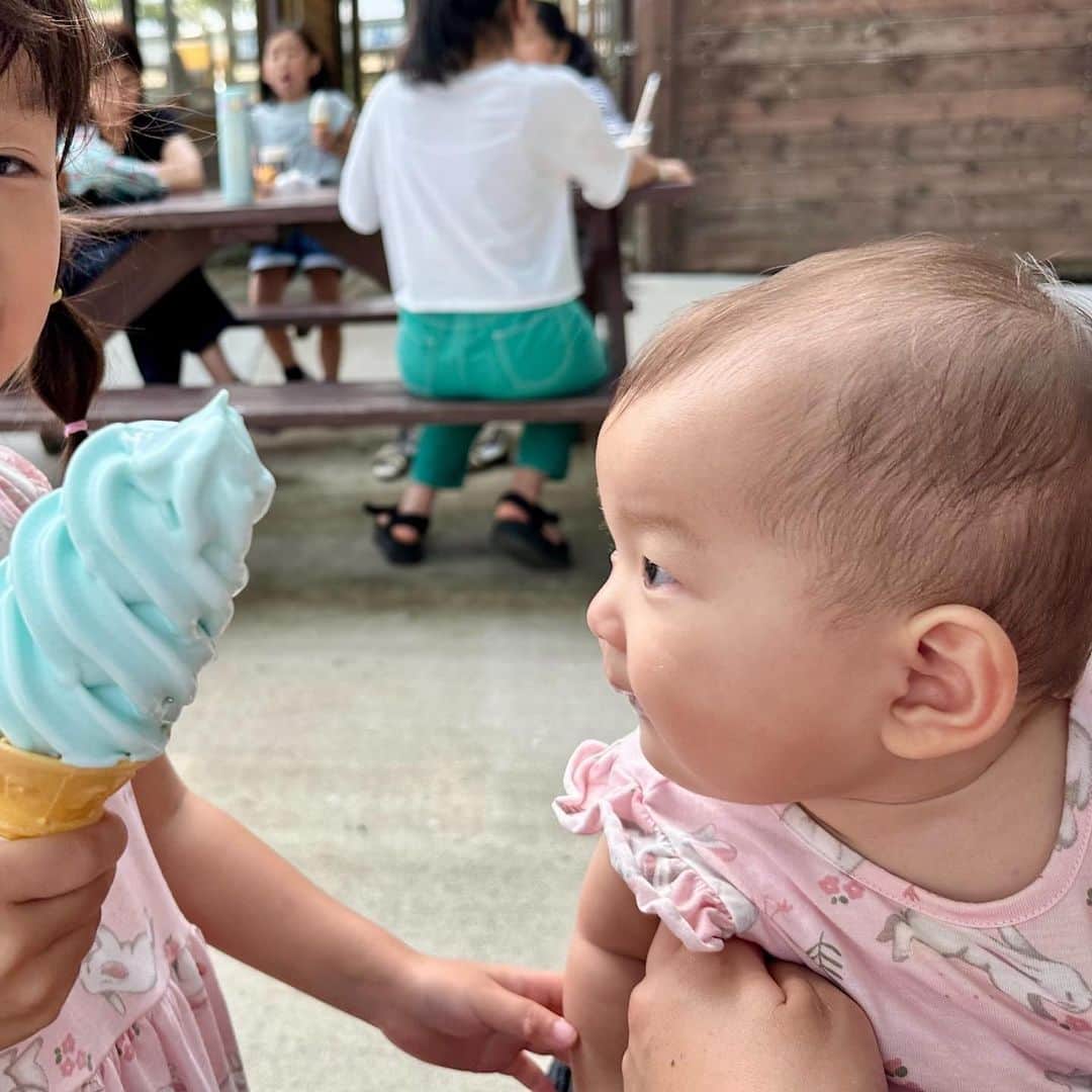 村方乃々佳のインスタグラム：「アイスをねらうひーちゃん😚 「こどもになったらいっしょにたべようね❣️」ってののちゃん😊  #村方乃々佳 #ののちゃん #ののかちゃん #ののちゃんねる #nonokamurakata #노노카 #NONOCHAN #ひーちゃん」