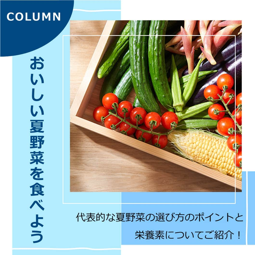 タニタのインスタグラム：「【コラム｜おいしい夏野菜を食べよう】  色鮮やかな夏野菜が店頭に並ぶ季節になりました。 旬の時期は特に味が濃く、栄養価が高くなるといわれています。  今回は、代表的な夏野菜の選び方のポイントと栄養素についてご紹介！  例えばトマトは、実、ヘタともに全体が鮮やかな色味で、ハリとツヤがあるものが美味しいといわれています。 また、トマトに含まれるビタミンCは、紫外線による日焼けを予防する効果が期待できます。  その他にも ★カリウムを含むきゅうり ★食物繊維を含むオクラ ★ポリフェノールを含むナス の選び方や栄養素の効果を紹介しています。  旬な夏野菜の中でも、よりおいしいものをGETして、からだによい栄養素をたくさん摂りましょう！  ===================== ・タニタマガジンはタニタ公式HPからご覧いただけます ・URLはこちら↓ https://www.tanita.co.jp/magazine/column/5316/ =====================  #タニタ #tanita #健康情報 #タニタマガジン #夏野菜 #野菜の選び方 #栄養士 #ビタミンC #カリウム #食物繊維 #ポリフェノール」