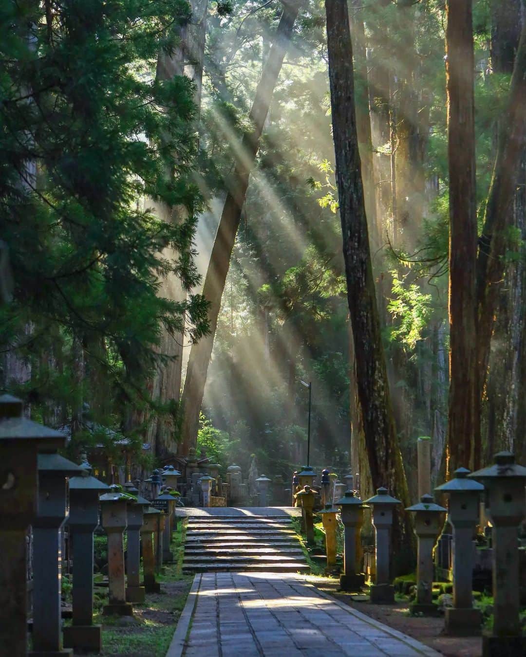 Visit Wakayamaのインスタグラム：「. Experience the beautiful phenomenon called komorebi in Japanese, which describes the effect of light filtering through the trees. 📸 @the_story_of_my_world24 📍 Okuno-in, Wakayama  . . . . . #discoverjapan #unknownjapan #instajapan #landscape #japan #japantrip #japantravel #beautifuldestinations #wakayama #wakayamagram #explore #adventure #visitwakayama #travelsoon #visitjapan #stayadventurous #igpassport #explorejapan #lonelyplanet #sustainabletourism #springtravel #worldheritage #koyasan #springinjapan #okunoin #spiritualjourney #shukubo #templestay #pilgrimage #japanesetemple」