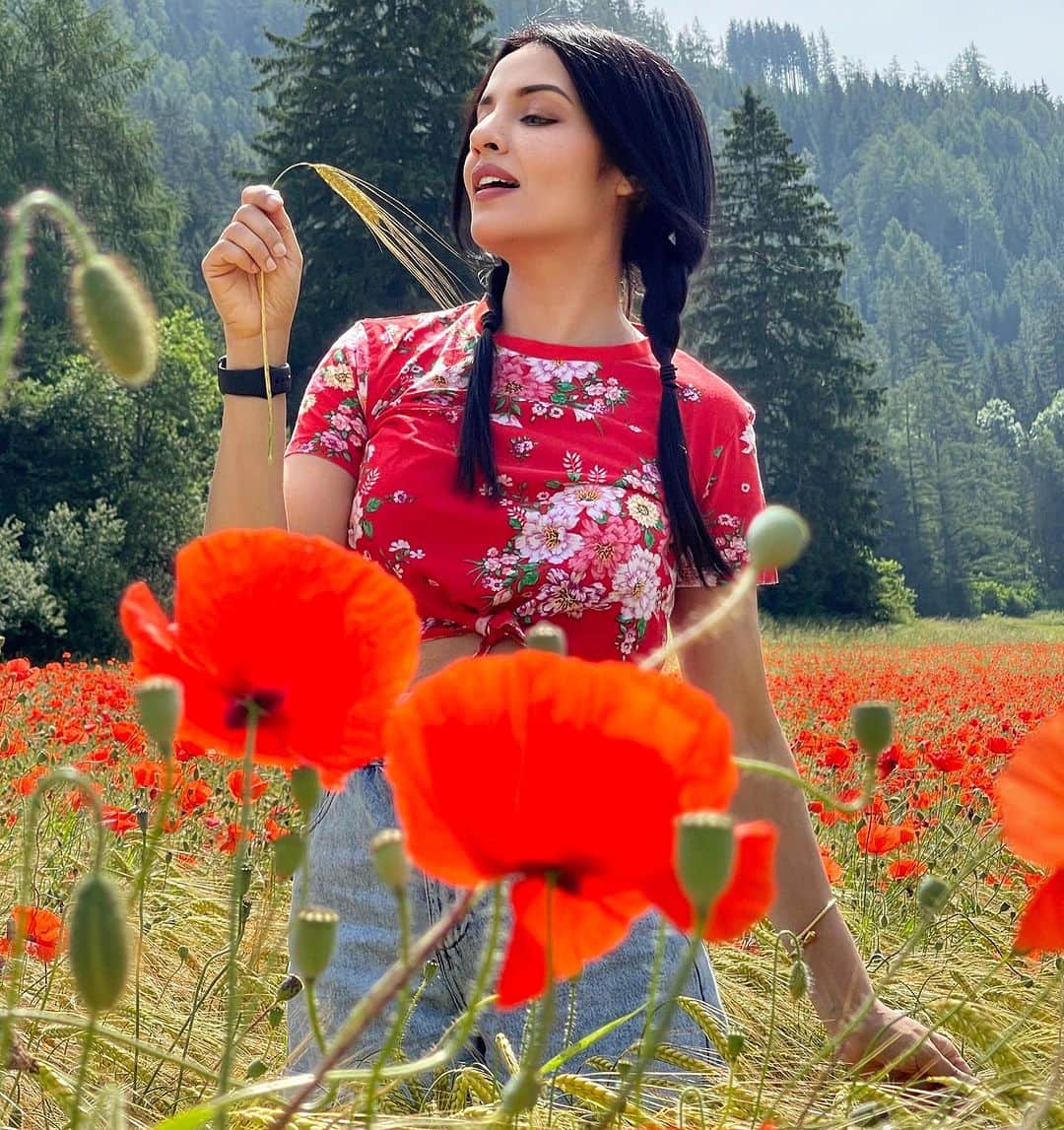 セリーナ・ジェイトリーのインスタグラム：「Every flower blooms in its own time …. You can cut all the flowers, but you cannot keep spring from coming….. This is an announcement not a quote !! ♥️  #celinajaitly #celinajaitley #celina #poppyfields #popples #flowerfields #austria #österreich #austriangirl #indiangirl #europeangirl #alpinelife #missindia #missuniverso #bollywood #bollywoodsongs   #photography - @haag.peter ♥️🧿」