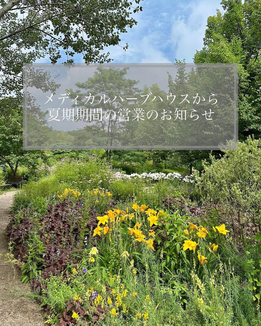 生活の木 メディカルハーブガーデン薬香草園【公式】のインスタグラム