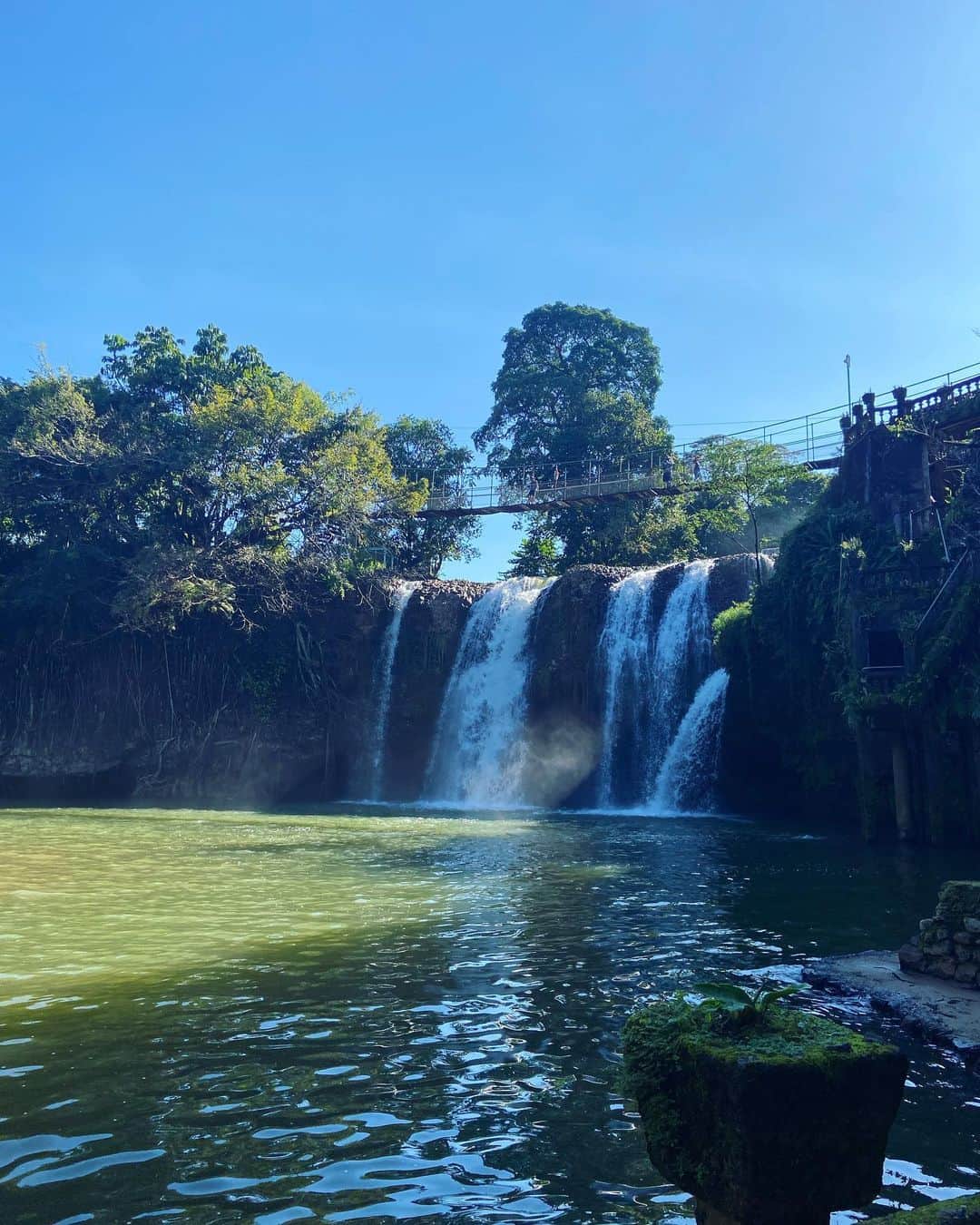 高橋美帆さんのインスタグラム写真 - (高橋美帆Instagram)「✈️🇦🇺🌴 幸せの青い蝶もいたよ🦋🦋🦋  #paronellapark  #cairns  #パロネラパーク  #ケアンズ旅行  #オーストラリア旅行  #世界の絶景」7月9日 9時00分 - miho_takahashi_39