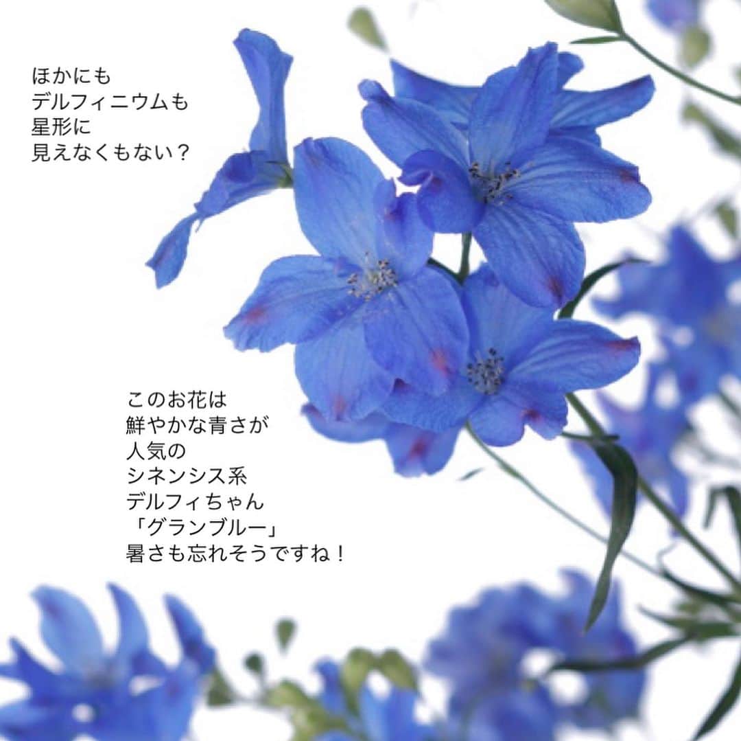 雑誌『花時間』さんのインスタグラム写真 - (雑誌『花時間』Instagram)「七夕🎋に、お花を飾りませんか？  花時間（@hanajikan_magazine）です。  願いをかけてみたい星形のお花を選んでみました。  子どもの頃は、短冊🎋になんて書いていたのか、ちっとも思い出せませんが、いまなら、「あと10キロ痩せられますよーに？」😅  いやいや、こればっかりは他人任せ、神頼みは通じませんね（笑）  ところで、七夕の短冊に使われる五色（ごしき）の色には意味があるそうですね。  中国で生まれた陰陽五行説に由来。七夕の日に、赤や青などの五色の色を飾ることで、魔除けにしたそうです。  暑さで体調を崩しやすいとき。久しぶりに、笹に短冊の七夕🎋飾りを飾って、健やかな夏でも願いましょうか？  では、本日もお疲れさまでした🍉　明日も元気smile😊😊😊で頑張りましょう！ by ピーターパン  写真　@tanabe32   【花時間ニュース】 💜『花時間』から、花の定期便がスタートしました🥰　世界でここだけのバラと旬花が届く嬉しいサービスです💕  💜『花時間2023春夏』〈春のピンク！夏のブルー！〉大好評発売中！  💜『花と短歌でめぐる 二十四節気 花のこよみ』大好評発売中  すべて @hanajikan_magazine のプロフィールのリンクから飛べます✈️  『花時間』本誌や書籍は全国の書店、ネット書店でも発売中✨  #花時間 #フラワーアレンジ #七夕 #花が好き #花が好きな人と繋がりたい #花を飾る #花を飾る生活 #花屋さんへ行こう」7月5日 18時53分 - hanajikan_magazine