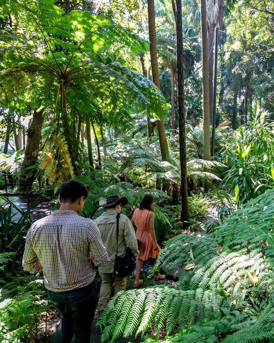 Australiaさんのインスタグラム写真 - (AustraliaInstagram)「Bush Tucker in the ❤️ of Narrm? It's a thing at @royalbotanicgardensvic! Join a local Indigenous guide on their Aboriginal Heritage Walk, which takes you around the ancestral lands of the Kulin nation, teaching you about Indigenous traditions and revealing plants and trees used for food and medicine for millennia. If you think seeing #Australia with your own two eyes is incredible, you'll be blown away as you begin to view things through an Indigenous lens with the help of an Aboriginal guide. Trust us, it's a must-do, especially during this @naidocweek!   📍: Royal Botanic Gardens Victoria, @discoveraboriginalexperience, Narrm (@visitmelbourne),   #Victoria #seeaustralia #comeandsaygday #visitvicotira #visitmelbourne #NAIDOCWeek2023 #ForOurElders #NAIDOCWeek #thisisNAIDOC」7月5日 19時01分 - australia