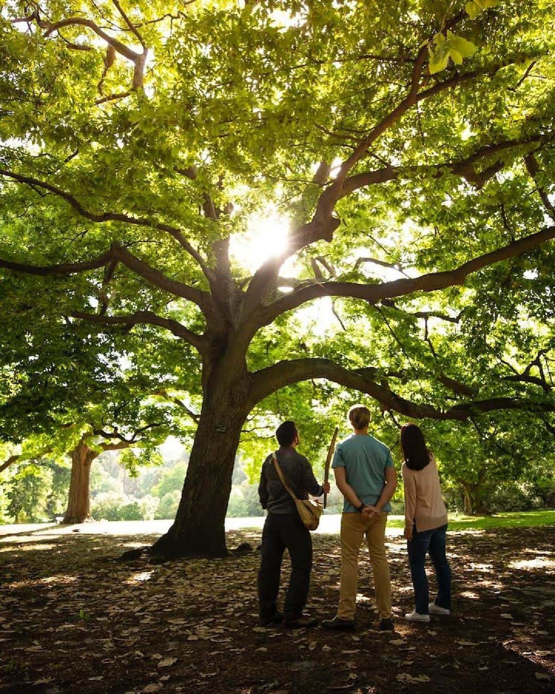Australiaのインスタグラム：「Bush Tucker in the ❤️ of Narrm? It's a thing at @royalbotanicgardensvic! Join a local Indigenous guide on their Aboriginal Heritage Walk, which takes you around the ancestral lands of the Kulin nation, teaching you about Indigenous traditions and revealing plants and trees used for food and medicine for millennia. If you think seeing #Australia with your own two eyes is incredible, you'll be blown away as you begin to view things through an Indigenous lens with the help of an Aboriginal guide. Trust us, it's a must-do, especially during this @naidocweek!   📍: Royal Botanic Gardens Victoria, @discoveraboriginalexperience, Narrm (@visitmelbourne),   #Victoria #seeaustralia #comeandsaygday #visitvicotira #visitmelbourne #NAIDOCWeek2023 #ForOurElders #NAIDOCWeek #thisisNAIDOC」