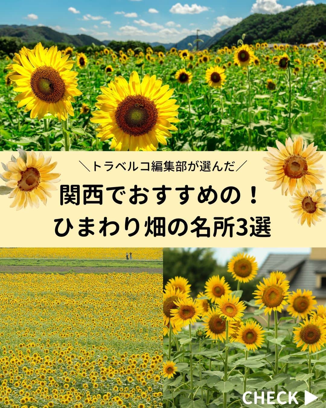 旅行比較サイト・トラベルコ 理想の旅を、いちばん安く。さんのインスタグラム写真 - (旅行比較サイト・トラベルコ 理想の旅を、いちばん安く。Instagram)「開花が待ち遠しい！関西の『おすすめのひまわりスポット』をピックアップしました🌻  保存してお出かけの参考にしてくださいね✨  【1枚目】 📍 #ひまわりの丘公園（兵庫県小野市） 「サンリッチレモン」や「太陽」などの多彩なひまわりが楽しめます🌻2022年には関西最大級の遊具広場が園内にオープン！  【2枚目】 📍 #淡路ファームパーク イングランドの丘（兵庫県南あわじ市） 野菜収穫やクラフト体験コーナー、かわいい動物たちに出合える「グリーンヒルエリア」もあり、一日たっぷり遊べるスポット✨  【3枚目】 📍 #佐用町南光ひまわり畑（兵庫県佐用郡） 合計69万本ほどのひまわりが咲く名所。例年7月中旬から「佐用町南光ひまわり祭り」を開催。花火の打ち上げなどのイベントも❤  そのほか全国ひまわり畑の名所はこちら👇 https://www.tour.ne.jp/matome/articles/himawari/#8444  ***** あなたが旅先で出合った素敵な風景に #トラベルコ  または #travelko をつけて投稿してみてください📷 こちらのアカウントで紹介させていただくかも！  投稿を見て「行きたい！」と思ったら保存でクリップ。 フォロー＆いいねもお願いします🌟  ***** 国内海外1500以上の旅行サイトをまとめて比較！ 旅行の最安値を探すなら「トラベルコ」  プロフィール欄のURLから早速検索🔍 @travelko_official  #ひまわり畑 #関西ひまわり畑 #兵庫ひまわり畑 #ひまわり名所 #ひまわりスポット #絶景 #フォトジェニック #ファインダー越しの私の世界 #誰かに見せたい景色 #旅行好きな人と繋がりたい #写真好きな人と繋がりたい #女子旅 #一人旅 #旅行好き #旅 #旅行 #観光 #trip #travelko #トラベルコ」7月5日 12時00分 - travelko_official