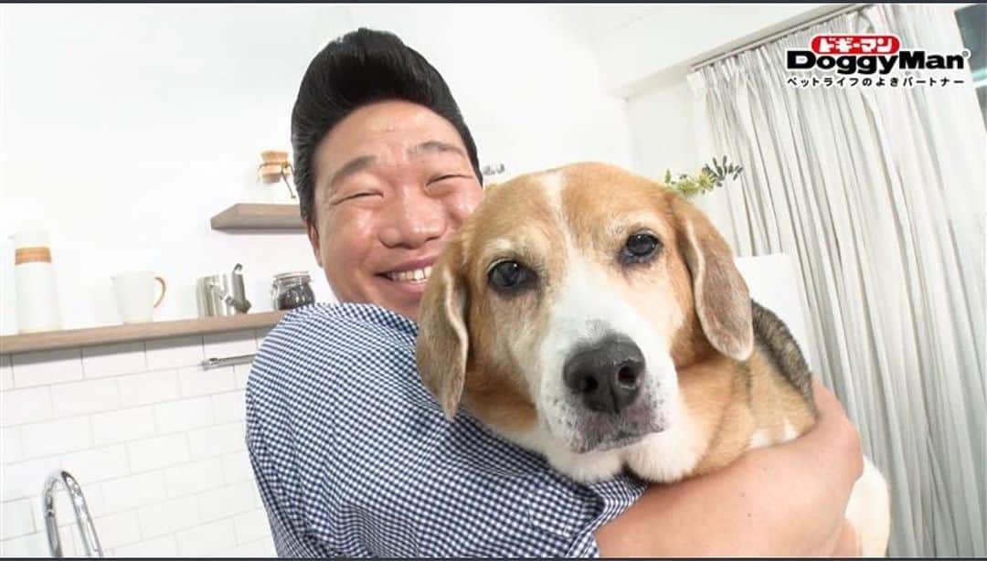 のインスタグラム：「第3弾‼️みやぞん ＆ラブ✨ ＃ドギーマン YouTube今回もバタバタですが楽しい感じになりました❤️🐶  わんちゃんの健康管理を考えたレシピやマッサージ、わんちゃんのことをもっと知ることができちゃう動画を配信していきます🎶  是非YouTubeご覧下さい👍❗️」