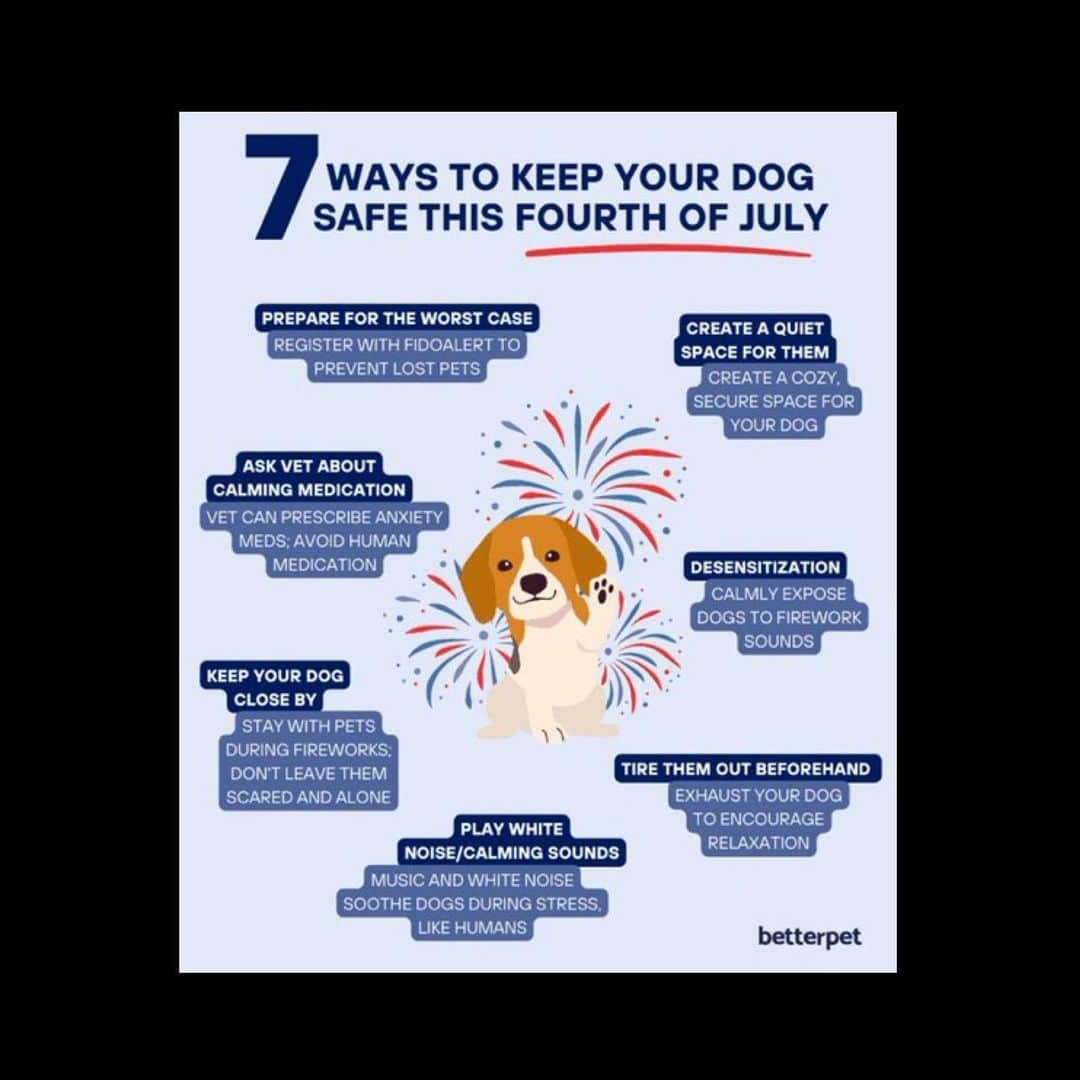 マーク・ハミルさんのインスタグラム写真 - (マーク・ハミルInstagram)「Wishing you all a wonderful #July4th , while reminding you all that dogs (& most pets) HATE FIREWORKS & suggesting that maybe you all should just watch them on TV instead.」7月5日 12時25分 - markhamill