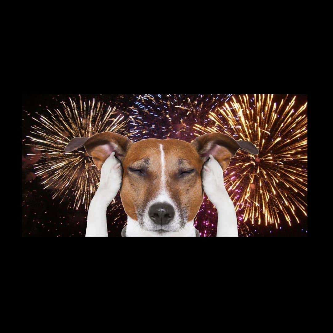マーク・ハミルのインスタグラム：「Wishing you all a wonderful #July4th , while reminding you all that dogs (& most pets) HATE FIREWORKS & suggesting that maybe you all should just watch them on TV instead.」