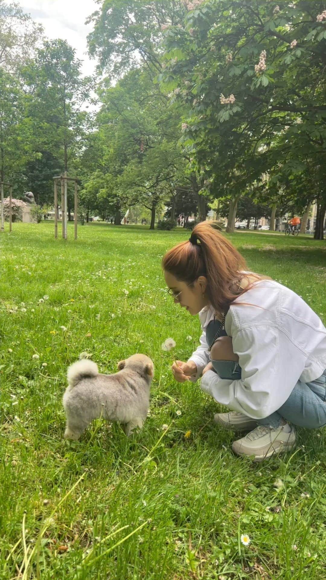 イ・ダヘのインスタグラム：「이때가 벌써 한달반 전이라니..😵‍💫 앨범보다가 발견한 독일에서의 찍어놨던 영상😂 이때부터구나.. 나의 새로운 취미 영상편집이 시작됐던게…(이미 좀 시들해졌지만ㅎ)」