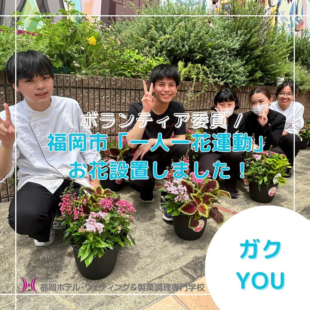 福岡キャリナリー製菓調理専門学校 のインスタグラム：「【ガクYOU】ボランティア委員🧹✨ . 本校では、【ガクYOU】と称して学友会活動を行っています😊 チームは全部で4つ！ ボランティア委員、季節のイベントスタッフ、スポーツフェスタスタッフ、そしてSNS広報スタッフです🌟 . この日は、福岡市の「一人一花運動」の一環として学校の敷地内にお花を設置しましたよ💐 . ガクYOUでは、2年生以上の学生さんから希望者を募って自分の頑張りたいチームに入ってもらいます！学科コース飛び越えて友達を作るチャンスです🤝💖この日は、調理、カフェ、ブライダルの学生さんが集まりました〜！随時、入りたい学生さんは募集していますので、近くの先生に声かけてくださいね〜！ . 他チームの活動の様子もまたアップしていきますね🌻  #福岡ホテルウェディングアンド製菓調理専門学校 #福岡キャリナリー#ボランティア#学生#学生ボランティア#花#一人一花#一人一花運動#一人一花運動福岡 #福岡市#世界水泳#専門学校#専門学校の日常 #パティシエ#パン#調理#カフェ#農業」